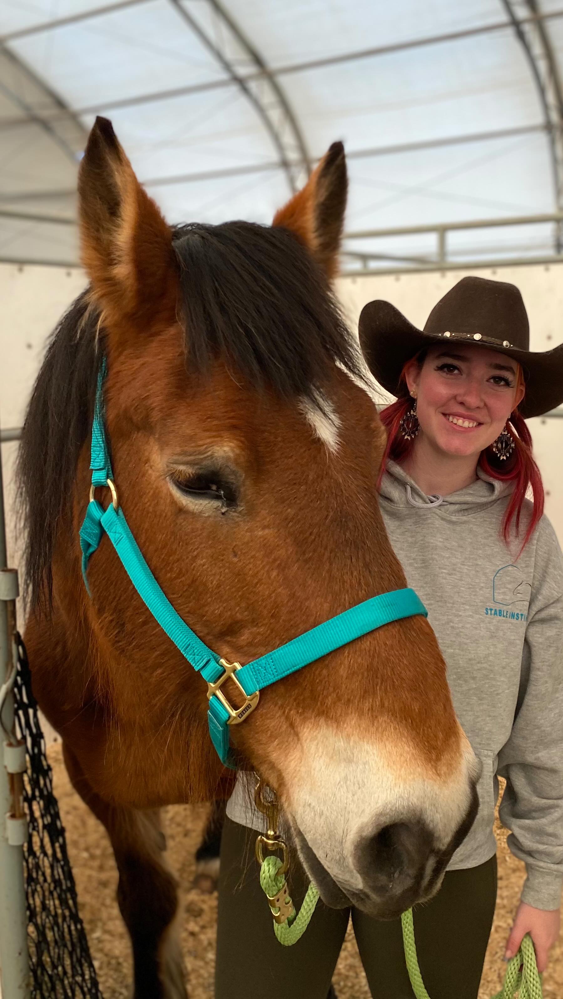 Here’s a little snippet of what you can expect when following or visiting my page!
#horses #western #bodyworker #industry