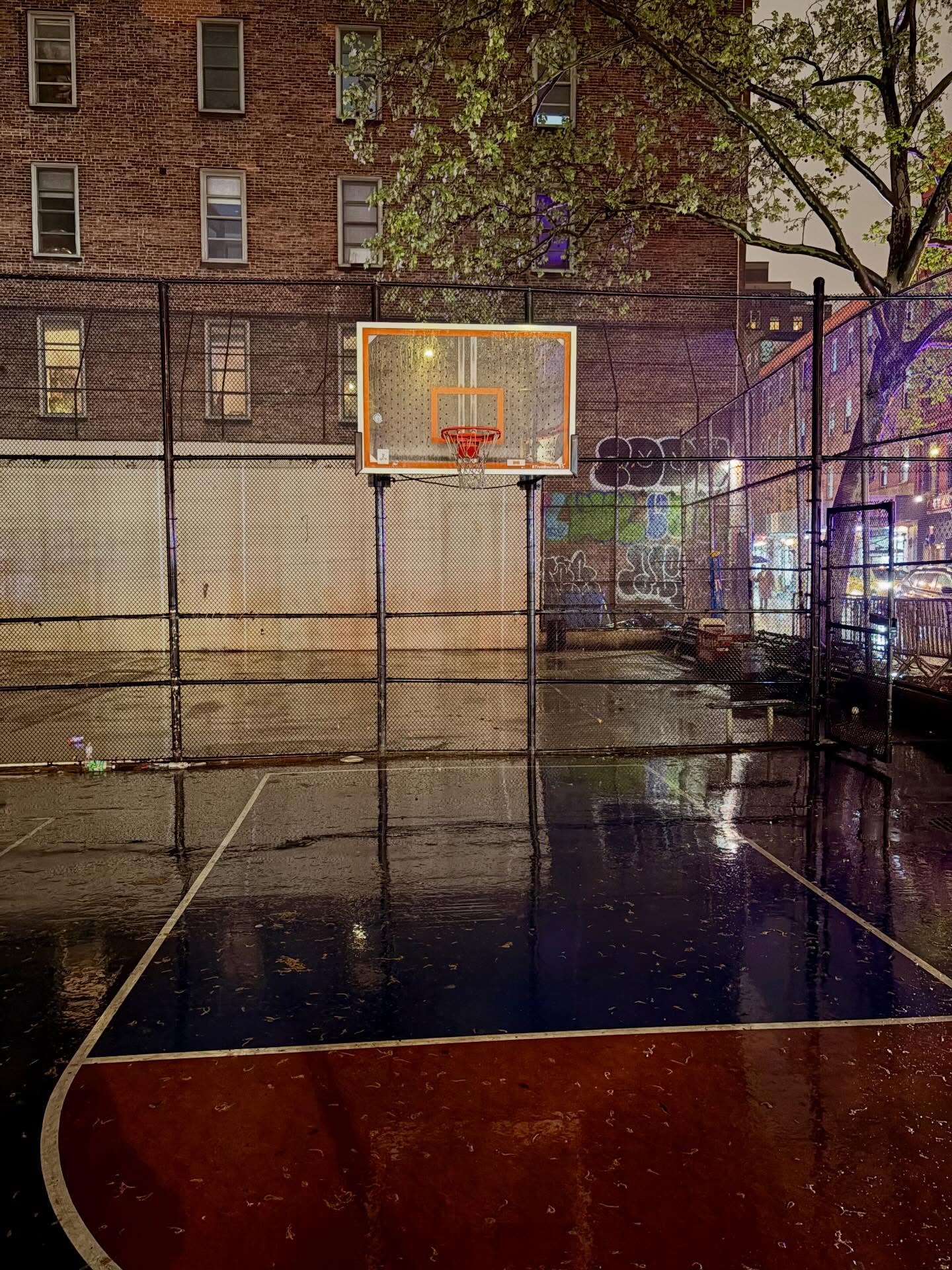 📸🏀✨
