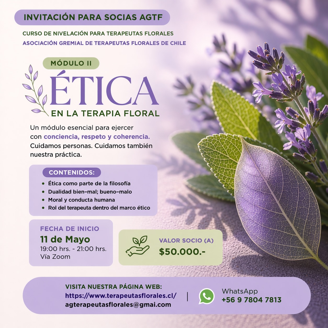 Dando continuidad a nuestro curso de Nivelación y Actualización para terapeutas florales, invitamos a los socios activos de la AGTF que se quieran sumar, a inscribirse a email agterapeutasflorales@gmail.com
El módulo tiene una duración de 4 semanas, una sesión semanal de 2 horas de duración.