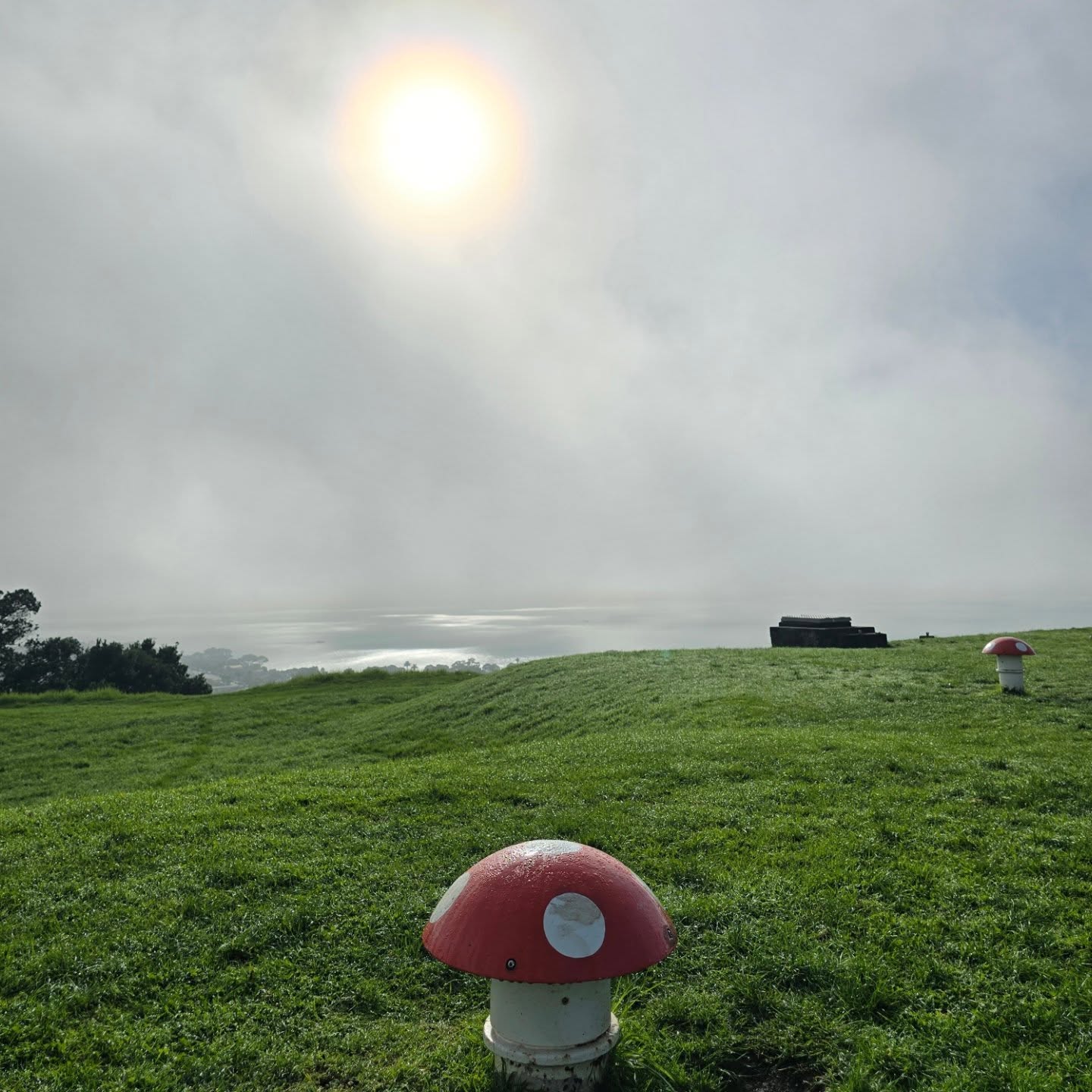 Vistas desde el Takarunga / Mount Victoria en #Devonport 🍄 #Latinkiwi #NuevaZelandaEnEspañol
#Auckland