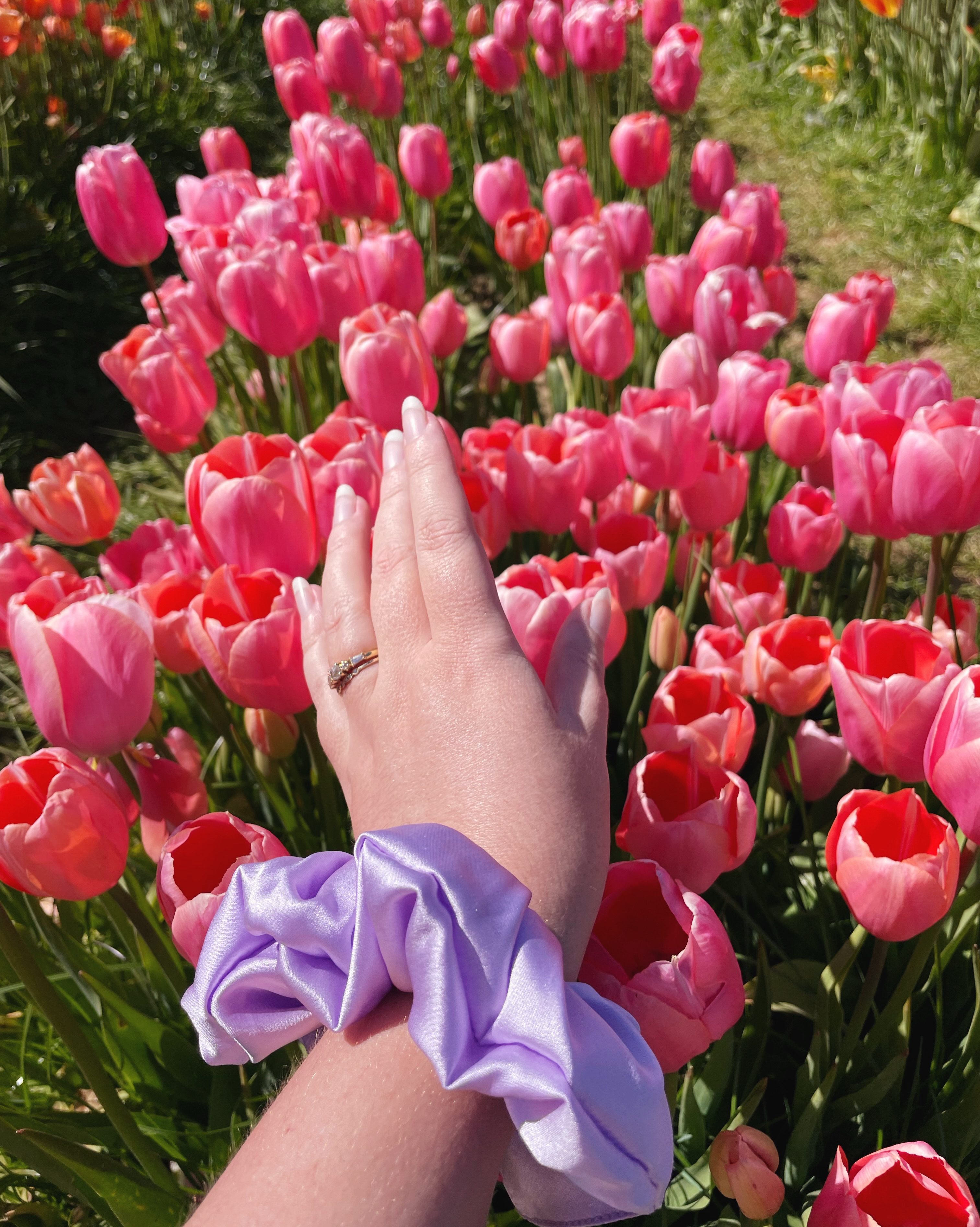 We went back to Tulley’s Tulip Fest but allowed Raff to come along this time as last year just me and my mum went on a weekday. As it was a weekend it was a bit busier, but you could still time and photos and angle them to look less busy!
Image description- 1. Jo’s hand with a pale purple silk scrunchie on her wrist, outstretched above pink tulips
2. Jo’s hand with a bright blue scrunchie on her wrist, reaching towards yellow tulips
3. Rows of tulips
4. Jo’s hand with a red and white gingham print silk scrunchie on her wrist, reaching towards red tulips with white edges
5. Jo’s hand with a pale pistachio green silk scrunchie on her wrist, reaching towards white and pink tulips