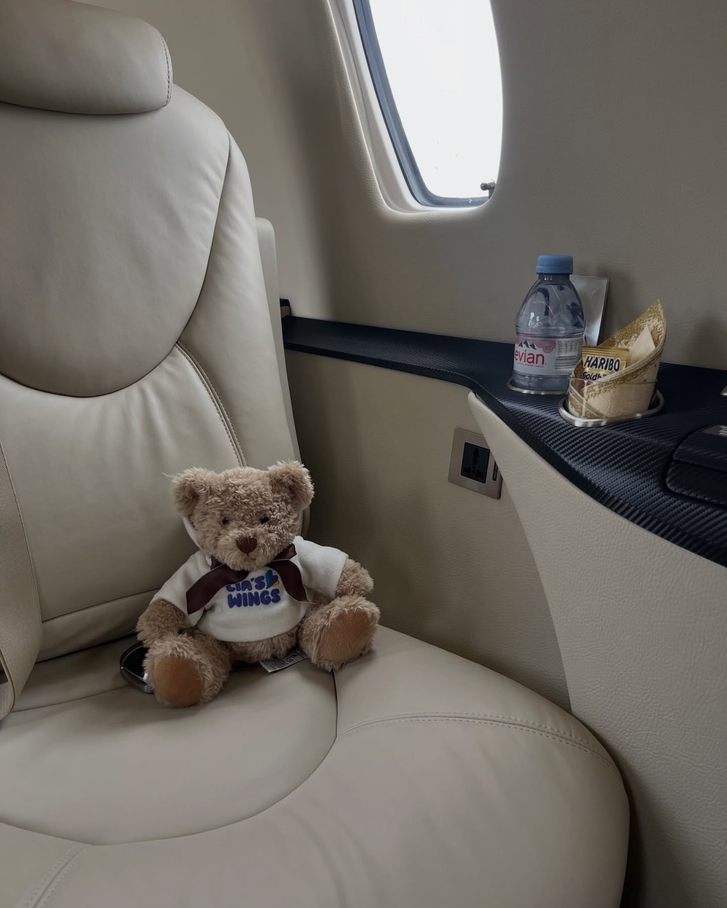 Last week, “The Teddy that Travels the World” officially took to the skies ✈️
This initiative is a simple yet meaningful way for our clients to make a difference: for every photo shared with the @liaswings_uk teddy bear onboard, we will donate £100 to support the charity’s life-saving work transporting critically ill children to specialist medical care around the world.
We look forward to seeing this initiative grow and to many more flights making a difference along the way.
For more information about the partnership or to make a donation, please contact a member of the 365 Aviation team at charter@365aviation.com.
#365Aviation #privatejet #charity #liaswings