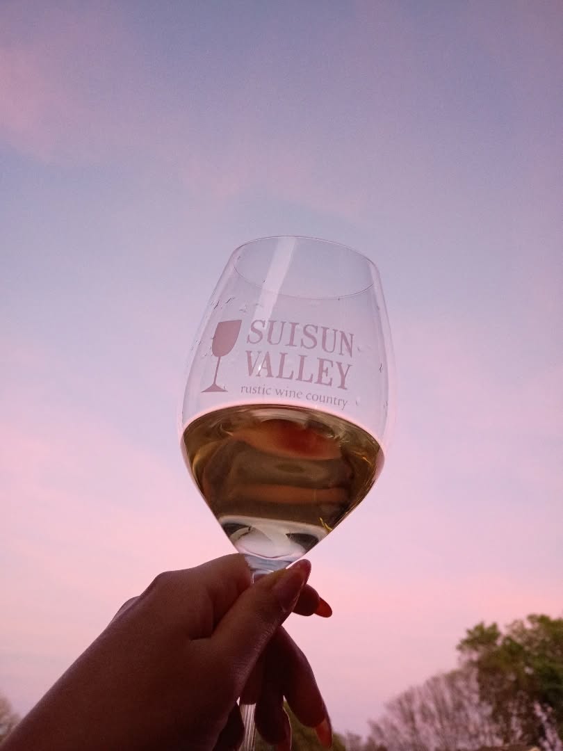 sauv blanc & sunsets 🤍 happy international sauvignon blanc day! 🥂
a crisp white wine, sauvignon blanc is perfect for warmer days! ☀️
this wine often has notes of citrus and is best served chilled on a warm day in May! 🍋
we have a plethora of amazing sauvignon blanc wines made here in suisun valley. some of my favorites can be found at Wooden Valley Winery, Tolenas Winery and Suisun Creek! what's your favorite sauvignon blanc? 🥂
cheers! 🤍
.
.
.
#nationalsauvignonblancday #suisunvalleywine #visitsuisunvalley