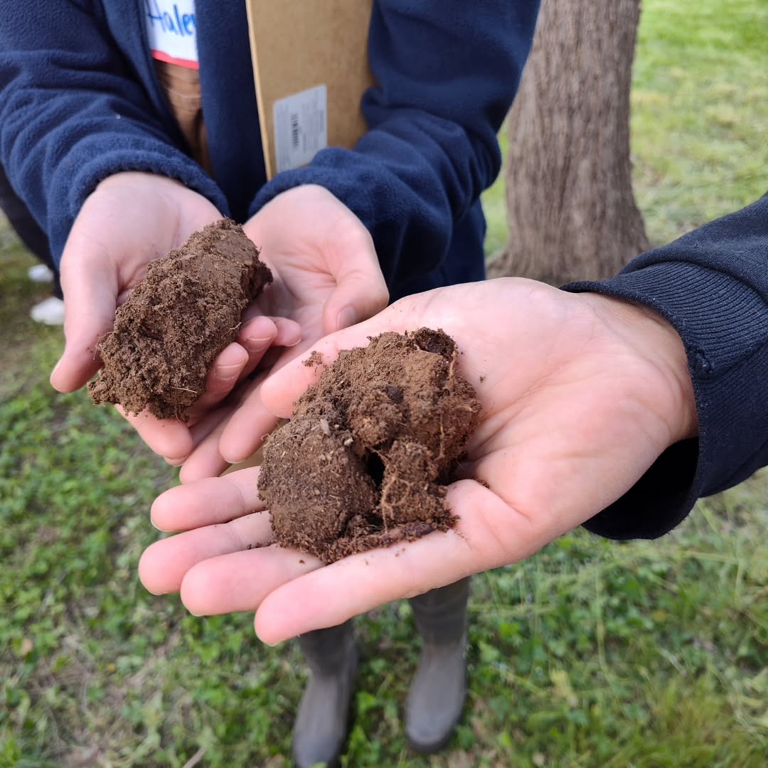 What an incredible day at the blueberry patch! 💙🫐
Thank you to everyone who joined in for our Community Soil Health Field Day on Saturday 🌱
We loved spending the afternoon exploring what healthy soil really means — from how soil forms and functions, to soil health principles, and practical ways we can all support healthier soil in our own yards, gardens, and farms.
We are especially grateful to Marian Dalke from @virginia_cooperative_extension @vsu_smallfarm, Dr. Summer Thomas from @4thesoilva (the Virginia Soil Health Coalition) and Alexandra Yoder-Schmidt from @usda_nrcs who generously shared their time, knowledge, and energy to make this event possible.
And a huge thank you to @americanfarmlandtrust for supporting soil health projects on our farm!
#SoilHealth #OrganicFarming #Blueberries #RegenerativeAgriculture #FamilyFarm