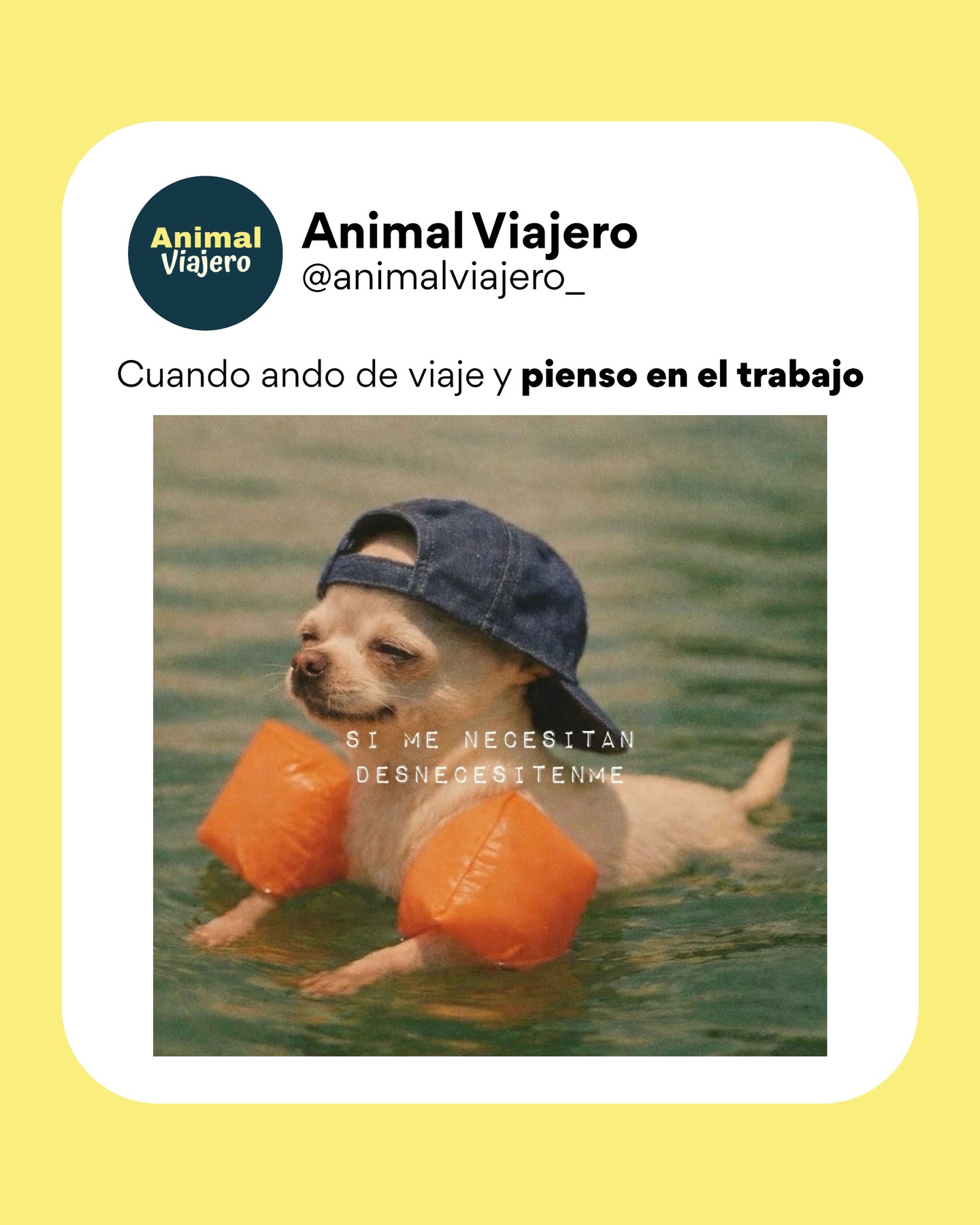 Cuando estoy de viaje no me molesten please 🤨😏
#memesviajes #animalviajero #agenciadeviajescdmx #viajeroporelmundo