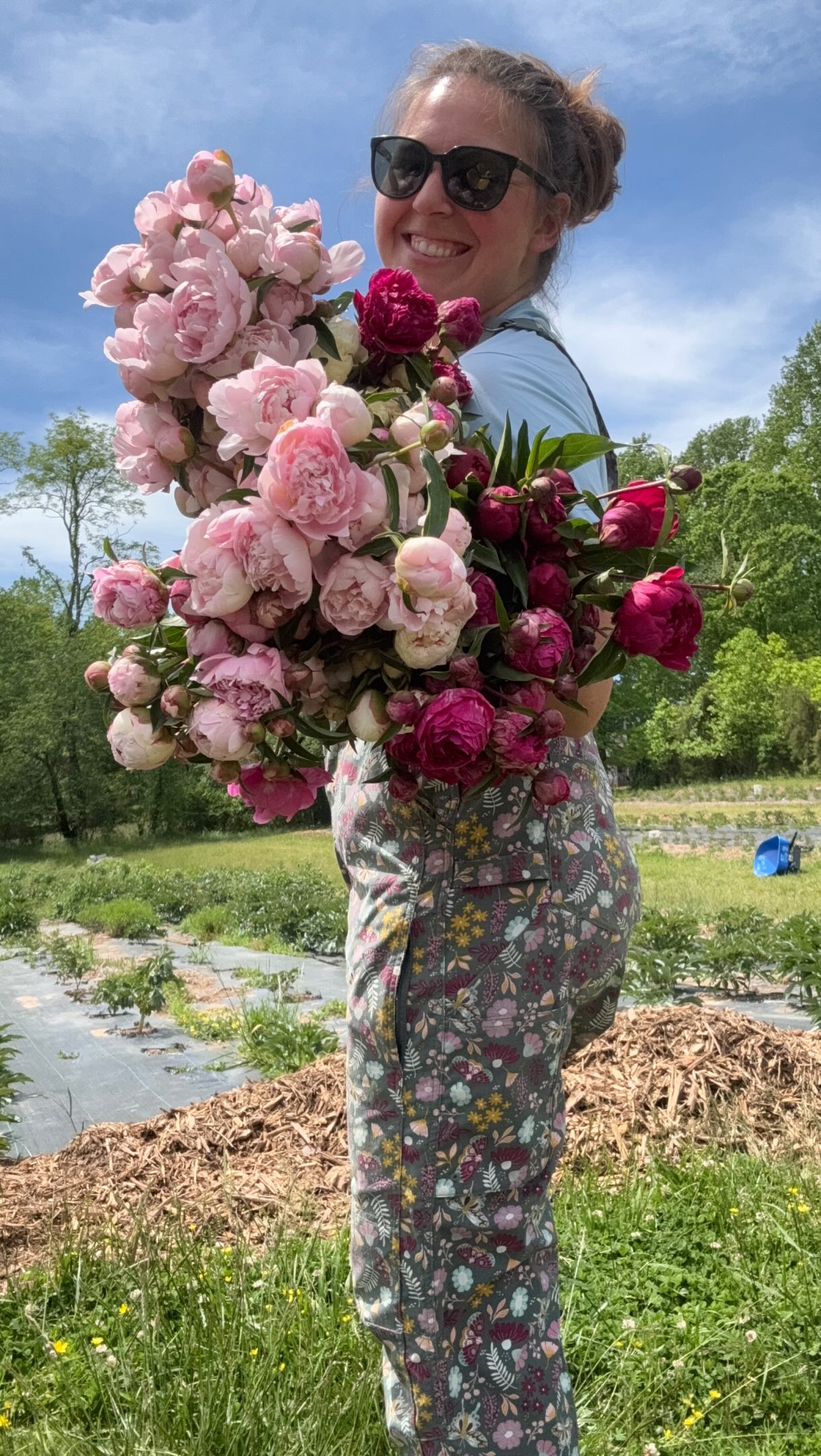 Peony are popping today! This is my harvest in three different fields. I finally have a nice stock pile in the cooler which means I’ll have peony only bouquets starting tomorrow along with our mixed bouquets!
Peony Week continues at the Flower Shack thru Friday May 8. Come grab a bouquet or peony plant for Mother’s Day! 💐
📍 345 Kimzey Rd Mills River, NC
