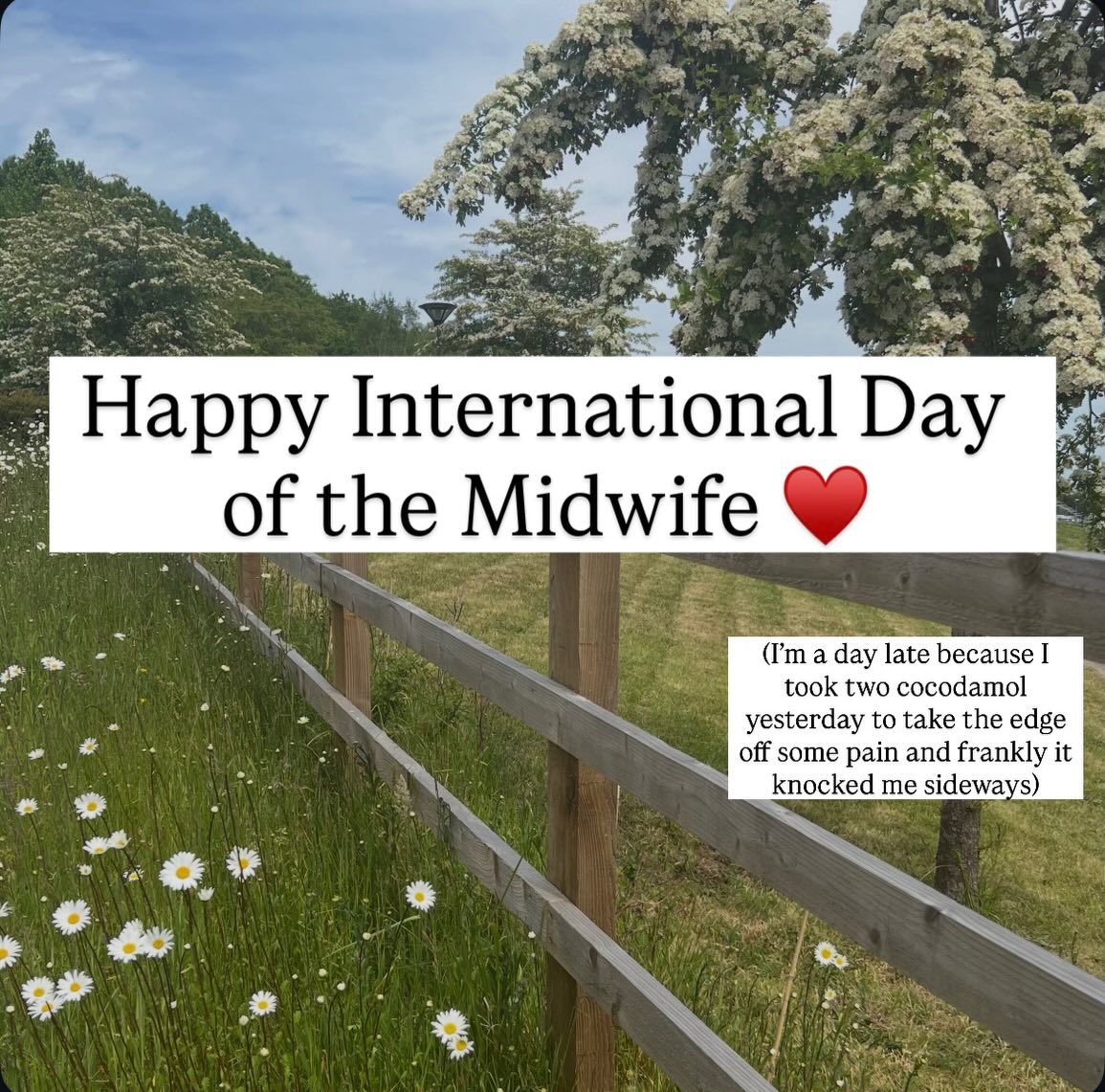 Happy International Day of the Midwife - celebration you every day!
#internationaldayofthemidwife
#midwivesmatter
#workingtogetherforgood
#mothersmatter
#positivebirth