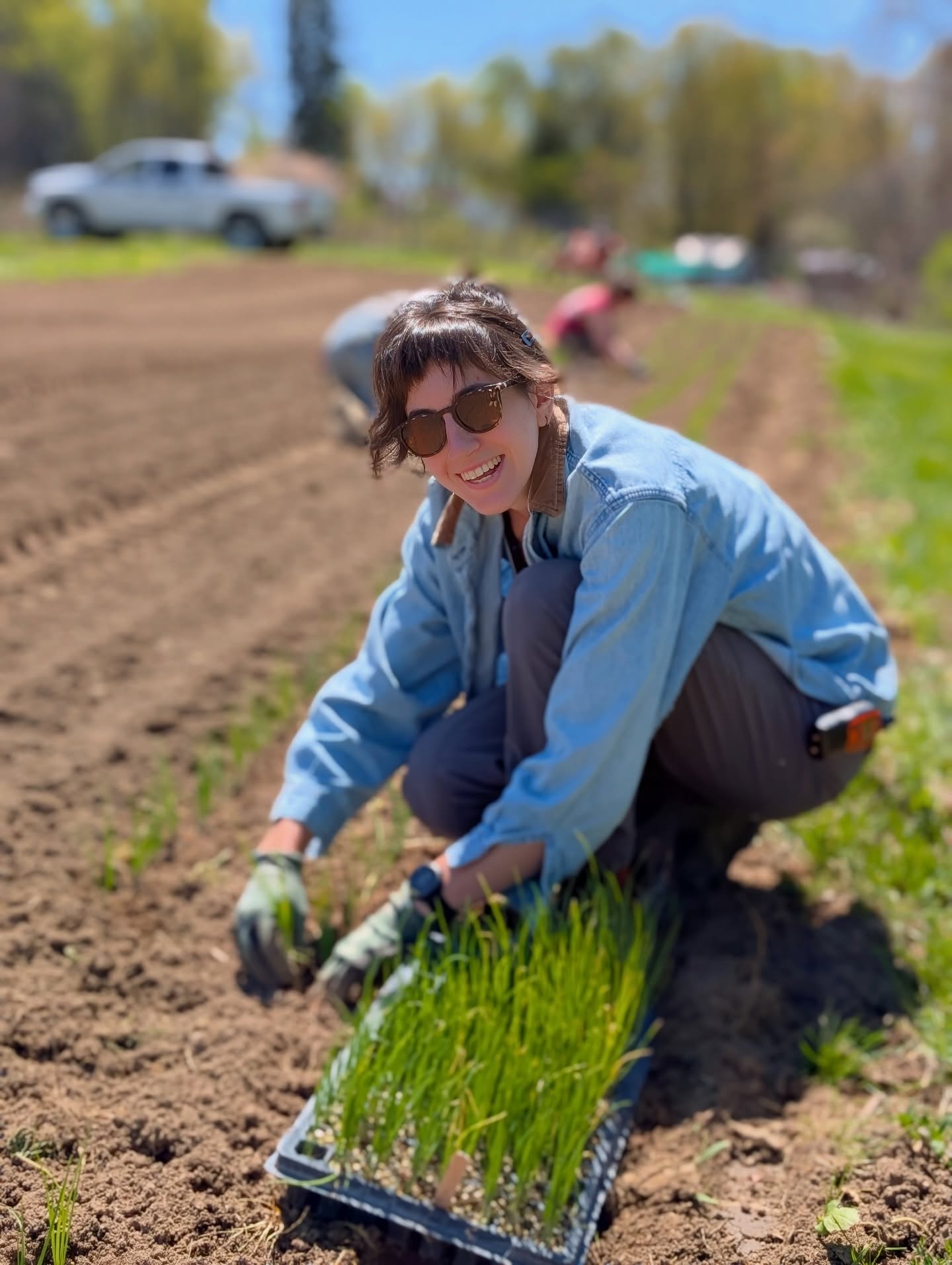 This week the farm crew planted just over 36,800 onions! Some fresh onions and some for storage, all for our 2026 CSA and food donation partners. 🧅🌱 Farm dog Amelia in the last photo is patiently standing in the aisle licking her chops thinking about how last week we planted her favorite veggie, broccolini.