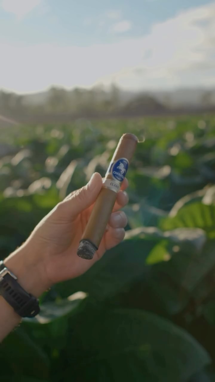 Designed in London. Sourced from Estelí. Desired worldwide.
#cigar #cigars #charatan #handcrafted #cigarmakingprocess