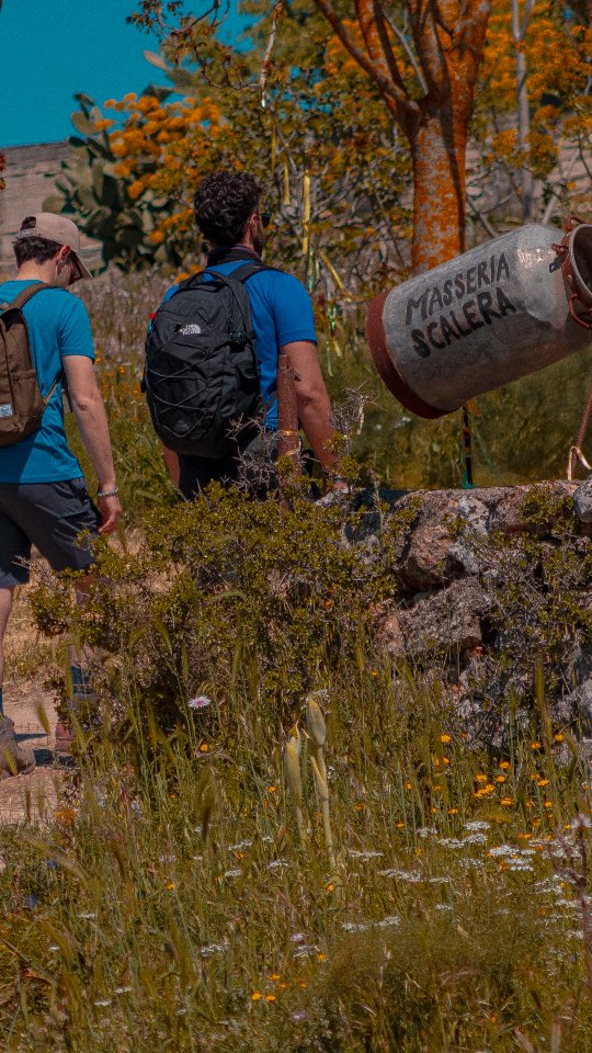 🌾 Storie vere, sapori autentici, mani che raccontano.
Nel cuore della via Peuceta abbiamo incontrato l’anima della Murgia: Masseria Scalera 🤍
Tra racconti, tradizione e passione, questa intervista con @mariantonietta_scalera ci porta dentro un mondo fatto di gesti antichi e amore per la terra.
.
.
.
#puglia #altamura #masseria #camminomaterano #animali