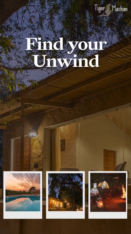 Discover the charm of Tiger Machan Resort, Ranthambore 🌿
From peaceful garden corners and refreshing poolside views to cozy cottages and luxury tents, every space is thoughtfully designed for a relaxing Ranthambore stay close to nature. Just minutes away from Ranthambore National Park, it’s the perfect blend of comfort, wildlife, and authentic Rajasthan vibes. 🐅
Whether you’re planning a weekend escape, a wildlife safari trip, or a quiet retreat, this resort gives you the ideal setting to unwind and explore.
✨ Luxury stay near Ranthambore National Park
✨ Peaceful nature views & comfortable rooms
✨ Perfect for couples, families & wildlife lovers
A stay that feels calm, close to nature, and effortlessly memorable.
👉 DM “RANTHAMBORE” or visit the website to plan your stay today 🚀
#tigermachan #safari #naturevibe #wildanimals #ranthambore