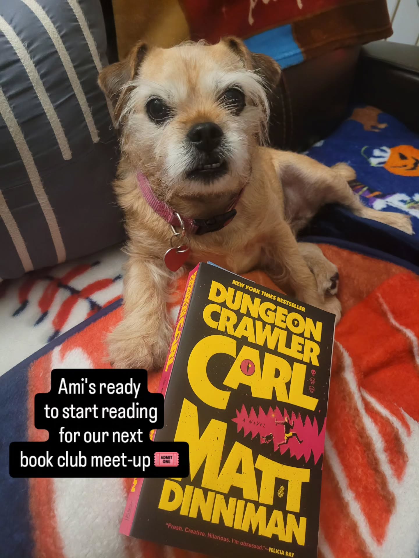 She's a book lover, this little girl of mine ๐ถ๐โค๏ธโ๐ฅ๐
Wait till she finds out it's a cat, not a pug, in this alien-invasion story ๐คฏ
#readingtime
#bookclubpick
#horrorstories
#booksbooksbooks
#herekittykitty
