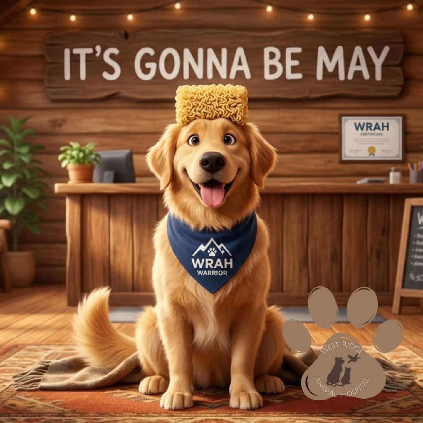 It’s Gonna Be May! 🍜🐕
We couldn’t resist. Whether your hair looks like ramen or your heart belongs to a boy band, one thing is for sure: May is almost here!
As we head into a new month, it’s the perfect time to make sure your WRAH Warriors are protected for the summer.
✔️𝗛𝗲𝗮𝗿𝘁𝘄𝗼𝗿𝗺 𝗧𝗲𝘀𝘁𝗶𝗻𝗴:Ensure they're clear to start preventatives.
✔️𝗙𝗹𝗲𝗮 & 𝗧𝗶𝗰𝗸: The "uninvited guests" are coming out to play!
✔️𝗦𝗰𝗵𝗲𝗱𝘂𝗹𝗲 𝗮 𝗖𝗵𝗲𝗰𝗸: Let’s get those annual exams done before the summer adventures begin.
Give us a call to make sure your pet is ready for the "May-hem" of summer fun!
#ItsGonnaBeMay #WRAHWarrior #GreeleyVets #JustinTimberlakeDog #RamenHair PetSafety SummerIsComing WestRidgeAnimalHospital
