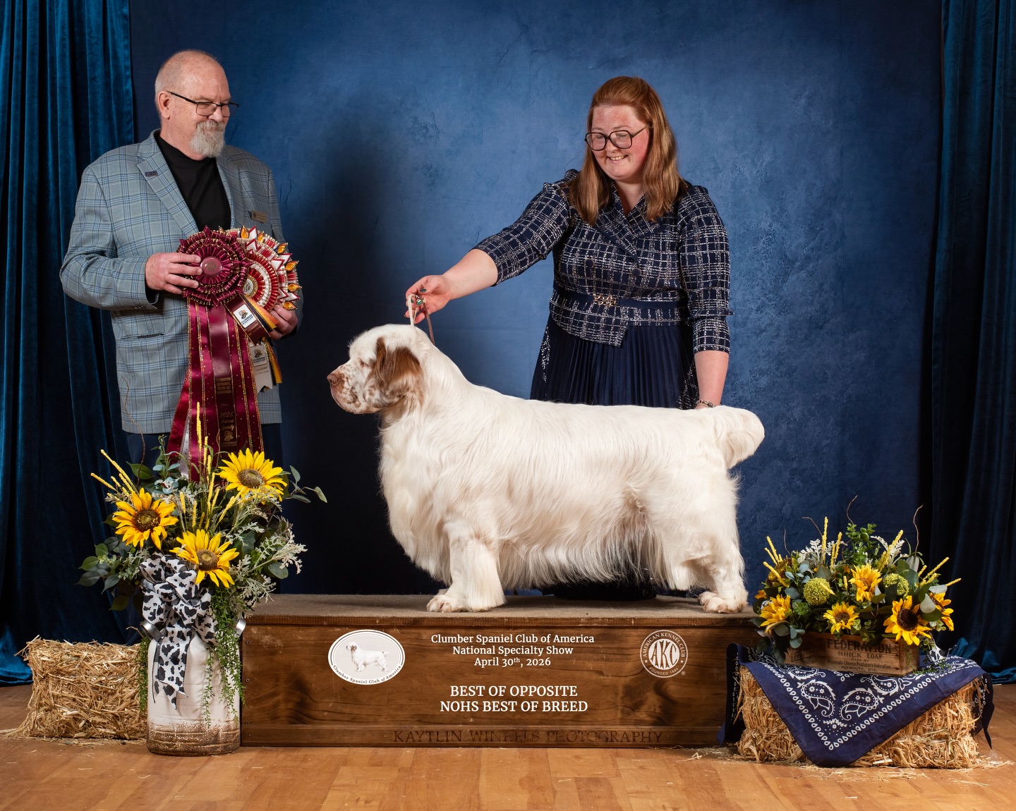 That’s a wrap on the Clumber Spaniel Club of America National 2026 🏆 Sixteen years ago, I walked into my first Clumber National with my Betty, and I have not missed one since.
I’ve told this story many times, and I’ll keep telling it 🤍 My first Clumber National was when I was 12 years old, and that year I fell in love with a dog named “Raney” NBISS GCH Cajun’s A Change Is Gonna Come CGCA. He became my dream stud dog for my first Rainsway litter. He didn’t win that year, but in 2011 he returned with Ashlie Whitmore and won Best of Breed. I will never forget watching Ashlie care for and handle Raney at that National in Florida, just watching them that week before they won, they became the goal of Clumber care, conditioning, and handling. That night, at the awards banquet, I hand wrote my first stud dog contract to breed Betty to Raney, and Milford Cole, Peggy Holman, and I all signed it. I still have that contract.
Now, many generations later, I got to watch Milford and Peggy’s “Raisin”, GCHS Cajun’s Two Scoops in Every Box CGC win Best of Breed at the Clumber National with Ashlie, while Pancake and I won Best of Opposite Sex right behind her. Both Raisin and Pancake are descendants of that Betty x Raney breeding.
That is what makes the Clumber National so special to me. It is where generations come together, where breeding plans are put into motion, and where years of dreams, decisions, hopes, and hard work stand right in front of you.
A huge congratulations to our Cajun family, Milford and Peggy, on Raisin’s Best of Breed win, and to Ashlie for presenting her so beautifully. This win follows years of hard work & determination. A win that was so well deserved all around. 💜
As a breeder, the Clumber National is the most important week of the year, and this one will always be special. I am so proud of every single Rainsway Clumber, owner, handler, helper, and friend who made it what it was.
Full Rainsway National Results recap posted next & more pics to come! 🤍
#akc #clumberspaniel #preservationbreeder #dogsofinstagram