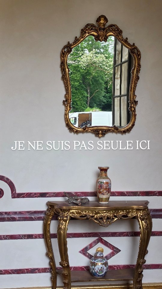 Certains visiteurs ne réservent jamais.
#chateau #nature #insolite #loire