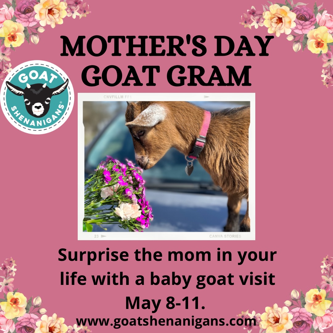 Send a little love and a baby goat to the mom in your life.