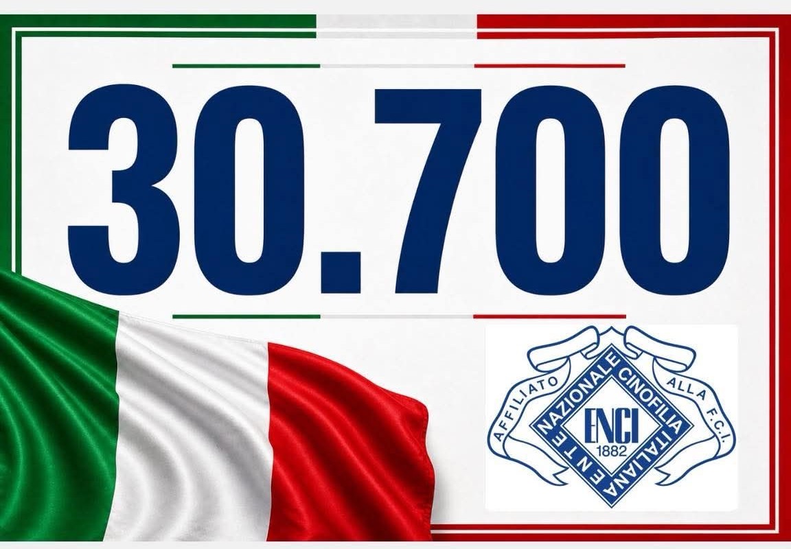 30 700 entries!!! Congratulations ENCI
#wds #worldchallegeoftopdogs #teamKnox
