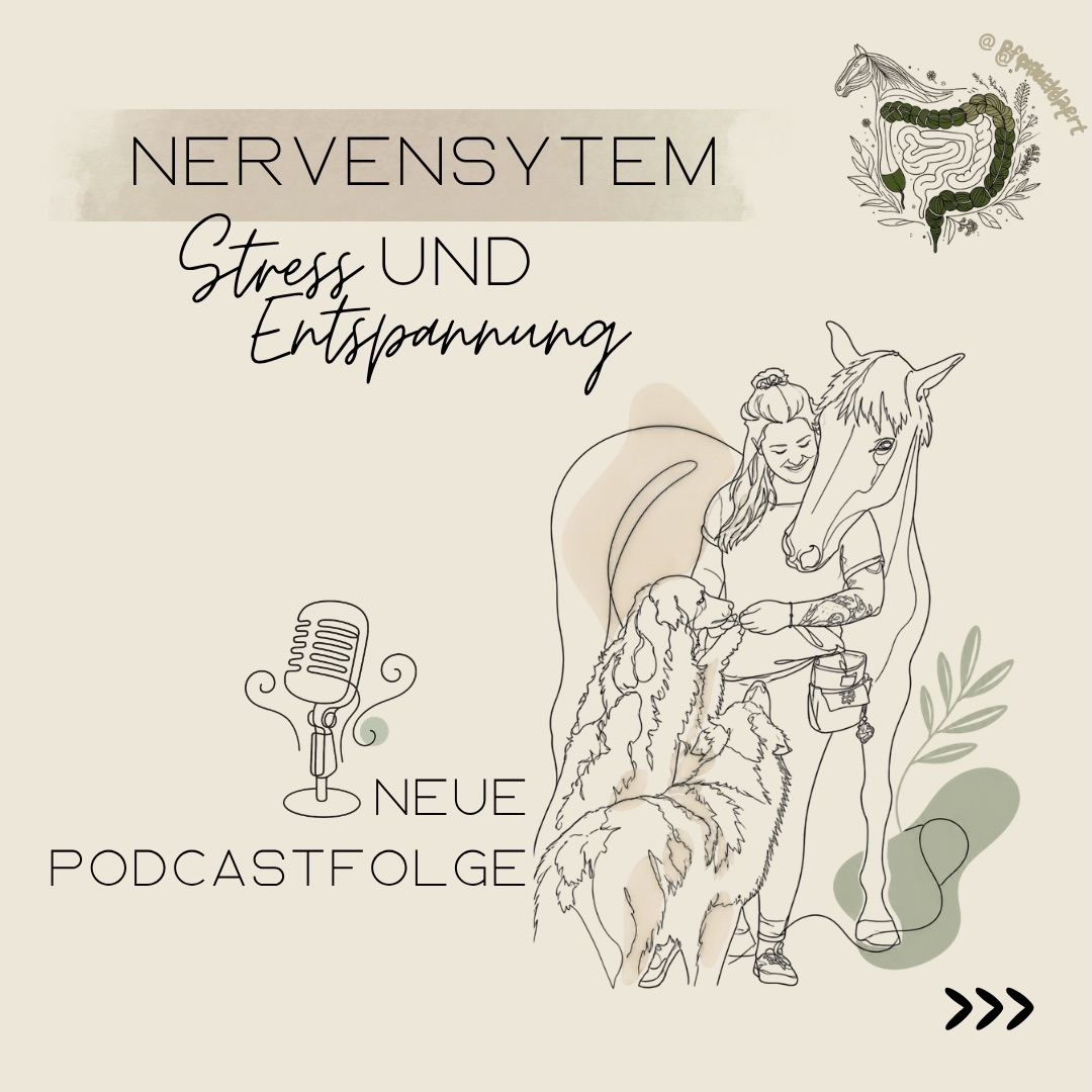 Das Nervensystem ist das Kommunikations- und Steuerungssystem unseres Körpers.
Es nimmt Reize aus der Umwelt und aus dem Inneren des Körpers wahr, verarbeitet diese Informationen und steuert darauf basierend unsere Reaktionen – bewusst und unbewusst.
💡 Kurz gesagt: Dein Nervensystem bestimmt, wie du fühlst, denkst und auf die Welt reagierst.
Ein besonders wichtiger Aspekt ist die Regulation: Dein Nervensystem sorgt ständig dafür, dass dein Körper im Gleichgewicht bleibt. Es passt sich Situationen an – zum Beispiel, indem es dich in Stressmomenten aktiviert (Sympathikus: Kampf oder Flucht) oder dich in sicheren Momenten beruhigt und regenerieren lässt (Parasympathikus).
Diese Fähigkeit zur Selbstregulation beeinflusst, wie du mit Herausforderungen umgehst, wie schnell du dich nach Stress wieder entspannen kannst und wie stabil du dich im Alltag fühlst.
✨ Und das Gute: Regulation ist lernbar.
Es gibt Methoden, mit denen du dein Nervensystem gezielt unterstützen kannst – ohne dass das Ziel ist, Stress komplett „wegzumachen“.
Denn: Stress ist nicht grundsätzlich schlecht.
Es geht nicht darum, alles abzudämpfen, sondern flexibel zu bleiben – also zwischen Aktivierung und Entspannung wechseln zu können.
In der neuen Podcastfolge: „025 Regulation statt Reaktion - dein Nervensystem im Alltag mit Kati Westendorf“ sprechen wir mit @equinality darüber, was das Nervensystem eigentlich ist, wie wir Gefühle besser wahrnehmen können und wie wir uns im Alltag, aber auch in schwierigen Situationen, verhalten können, damit es uns besser geht.
Hör jetzt rein! Den Link zur neuen Folge findest du in der Bio 📲
🔎 Self Check-In – kurz innehalten & wahrnehmen
Bevor du mit deinem Pferd startest: Wie geht es dir eigentlich gerade?
• Mit welchem „emotionalen Rucksack“ komme ich heute an?
• Was ist meine Grundstimmung?
• Was nehme ich gerade in meinem Körper wahr?
👉 Wichtig: Es geht nicht ums Verändern, sondern erstmal nur ums Wahrnehmen.
💡 Du kannst das ganz einfach machen:
• Skala von 1–10 (oder 1–7)
• Wetterbild (🌧️ bewölkt, 🌤️ wechselhaft, ☀️ klar)
• Oder ganz simpel: 🙂 😐 🙁
⬇️ in den Kommentaren geht es weiter⬇️