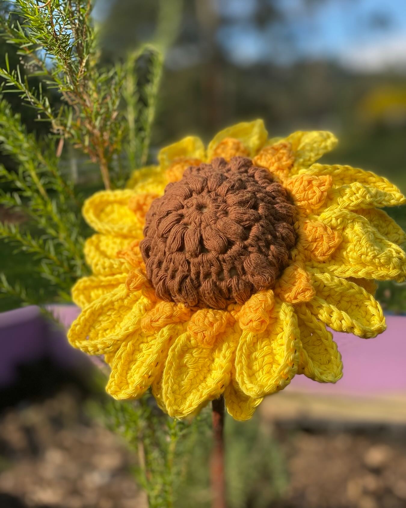 It’s a sunflower kinda morning. Enjoy your day lovely friends 🌻
#sunflower #crochetflowers #stresslesscraftmore #happyplace #enjoynature