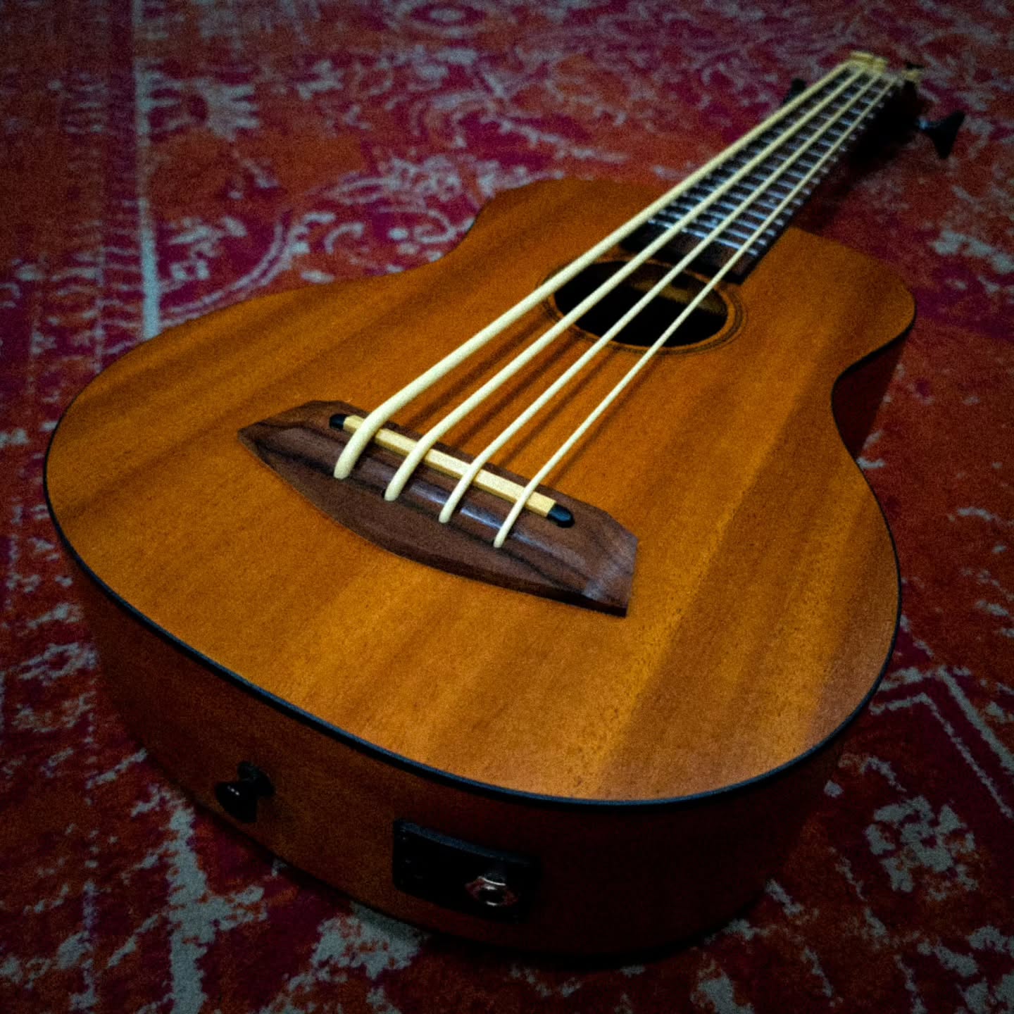This one is just too much fun. The Cascha Bass Ukulele combines the compact size of a ukulele with the deep, warm sound of a traditional bass. Built with a mahogany body and fitted with Aquila Thundergut strings, it delivers a surprisingly rich, double bass-style tone in a highly portable format. The integrated piezo pickup system with 3-band EQ and tuner makes it perfect for practice, recording, travel, and live performance. And it sounds HUGE when plugged in. Its lightweight design and comfortable playability make it an ideal travel bass for musicians on the go. Come check it out and experience it for yourself at Valroy Music House!
.
.
.
.
.
#bassukulele #cascha #funinstrument
