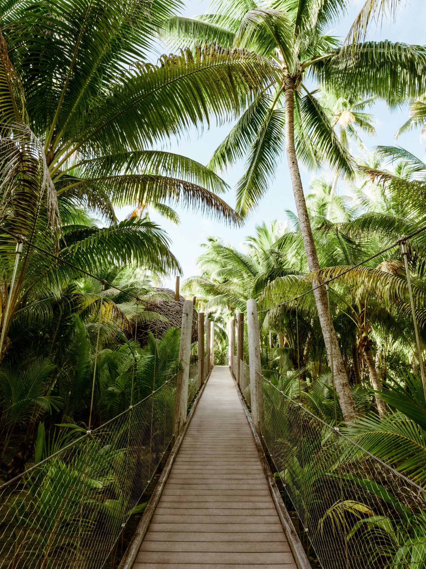 En el sendero hacia el spa, la naturaleza se convierte en refugio.
Cada paso invita a respirar, a soltar, a volver a uno mismo.
Aquí, el bienestar empieza mucho antes de llegar. 🍃
.
Along the path to the spa, nature becomes a sanctuary.
Each step invites you to slow down, breathe, and realign.
Here, well‑being begins long before you arrive. 🍃
📷 @thebrandoresort
#MoemoeaTravel #PolinesiaFrancesa #FrenchPolynesia #TheBrando #LuxuryWellness NatureRetreat EcoLuxury IslandSanctuaryWellnessJourney LoveTahiti