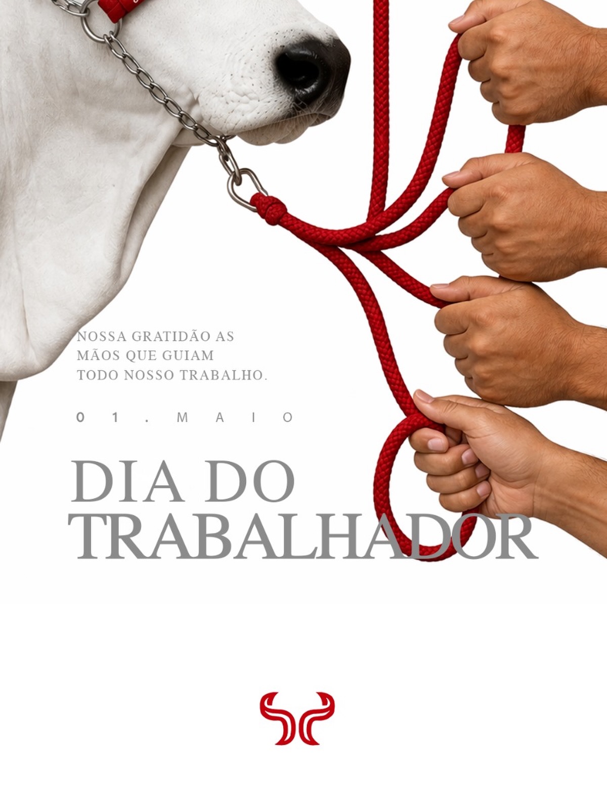 Nosso agradecimento a todas as mãos que guiam todo o trabalho com amor e dedicação 🙏🏻