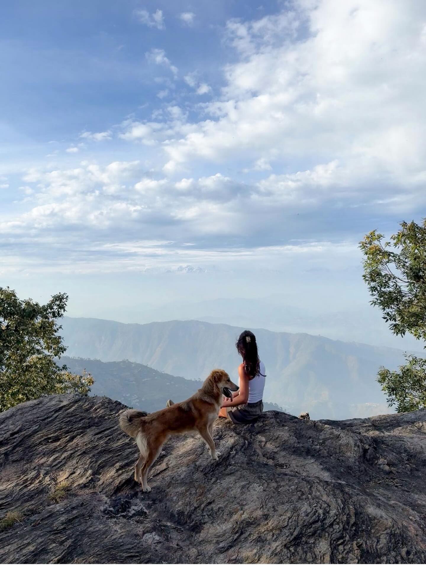 inner journeys... outdoors.+ a dog.
📷@cheeksrai
.
.
.
#ShaktiHimalaya #Ladakh #Kumaon #Sikkim