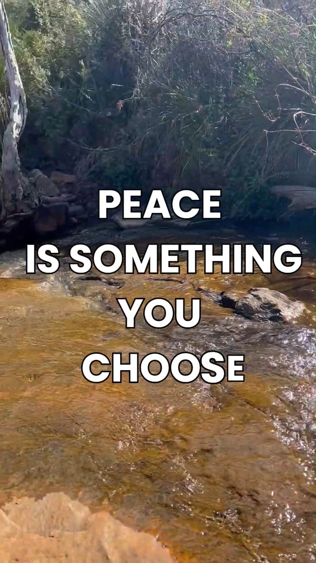 Your peace is waiting for you to choose it.
Join me in guided meditation in beautiful nature.
https://www.naturalinnerhealth.com/book-online
#naturalinnerhealth #guidedmeditation #womenswellness #innerpeacejourney #nervoussystemregulation #holistichealing #mindbodyconnection #emotionalwellness #tammymiller #selfcareforwomen #meditationperth #slowdownandbreathe #innercalmpractice #energyreset #peacefulmindpeacefullife