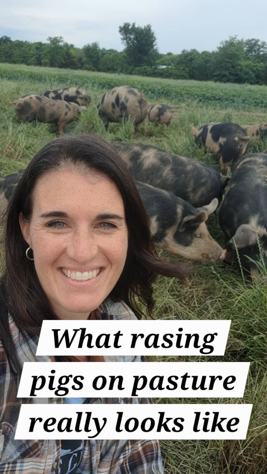 Want to know what raising pigs on pasture REALLY looks like? Take a walk through our farm with us! #farmtotable #pasturedpork #regenerativefarming #NorthTexasFarm #knowyourfarmer