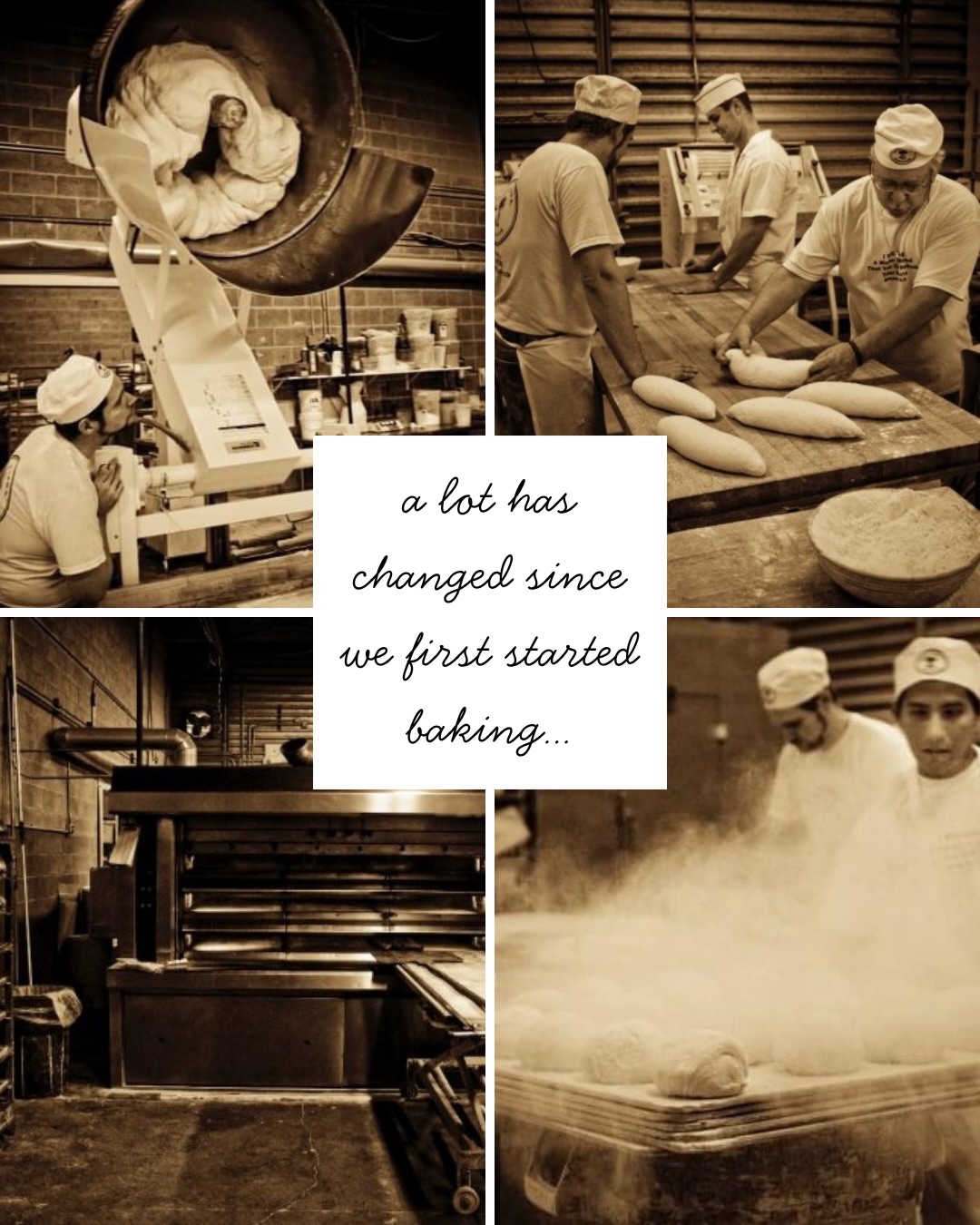 As weāve grown, weāve added a lot (wheat fields, ovens, and a flour silo, to name a few) but not much has changed.
Slow fermentation. Natural leavening. No preservatives.
Just time, craft, and intentionāevery single day. š¾
#mediterrabakehouse #familybusiness