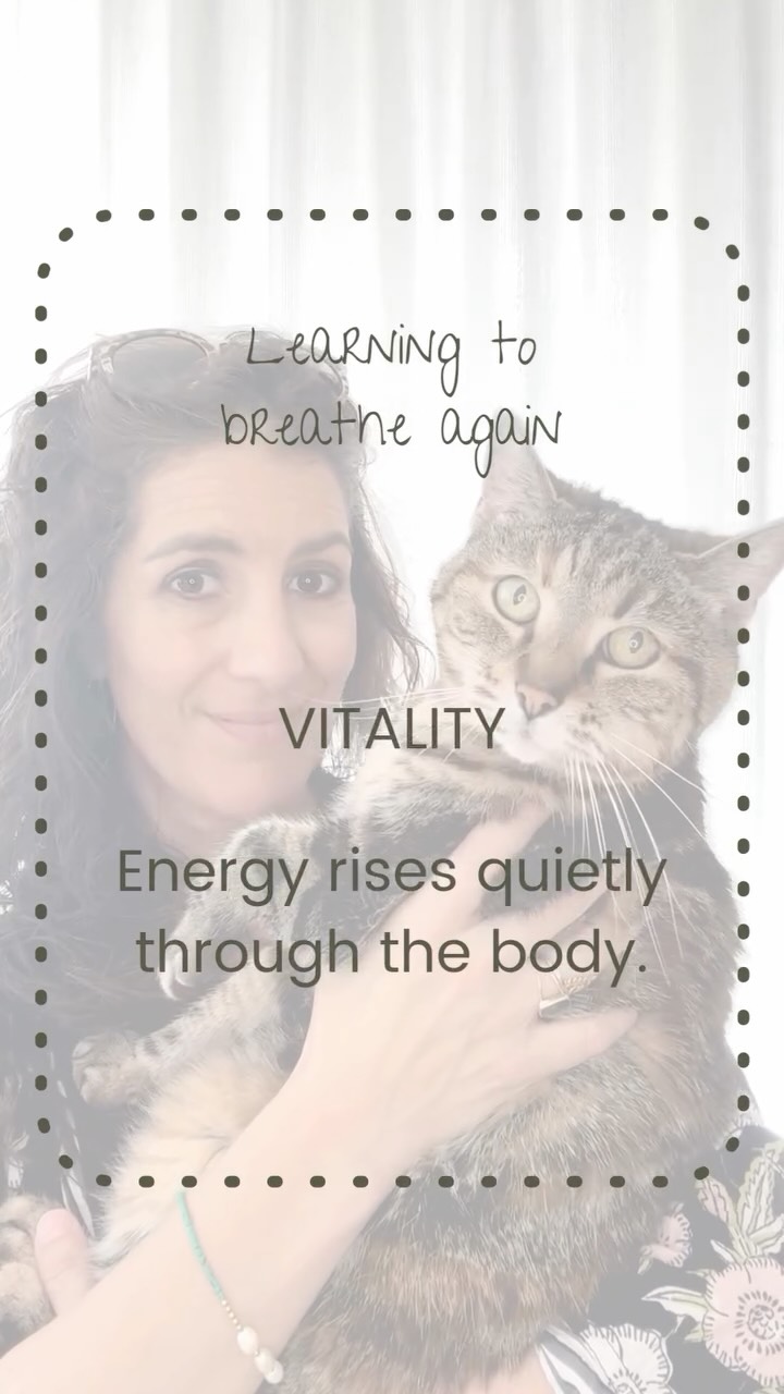 🦋
Learning to breathe again
#StillHuman #WeeklySound #SoftResistance #Singing #SoundYoga