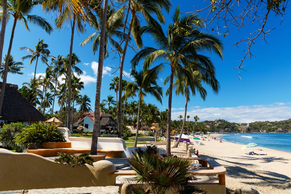 Sunday evening reset. 🌙
Next week doesn't have to feel like the last one. You don't have to keep running on empty.
What if you booked that retreat? What if you gave yourself permission to heal?
Feb 7-12 in Sayulita. Your nervous system is ready. ✨
Chat with Brett → https://calendly.com/wellness-travel/zoom-meeting