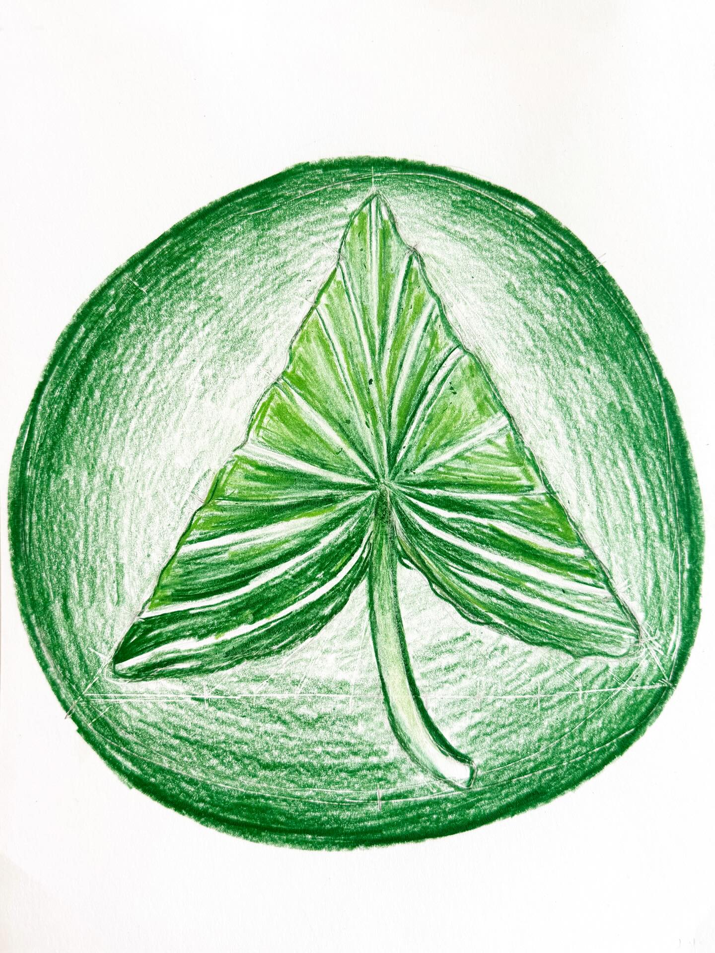 🌿📐Sixth graders explored the geometric patterns in the Cala Lily, discovering that the veins in the leaf are structured around the six-division of the circle.
#ECS #eastsidecommunityschool #waldorf #geometry #mathart