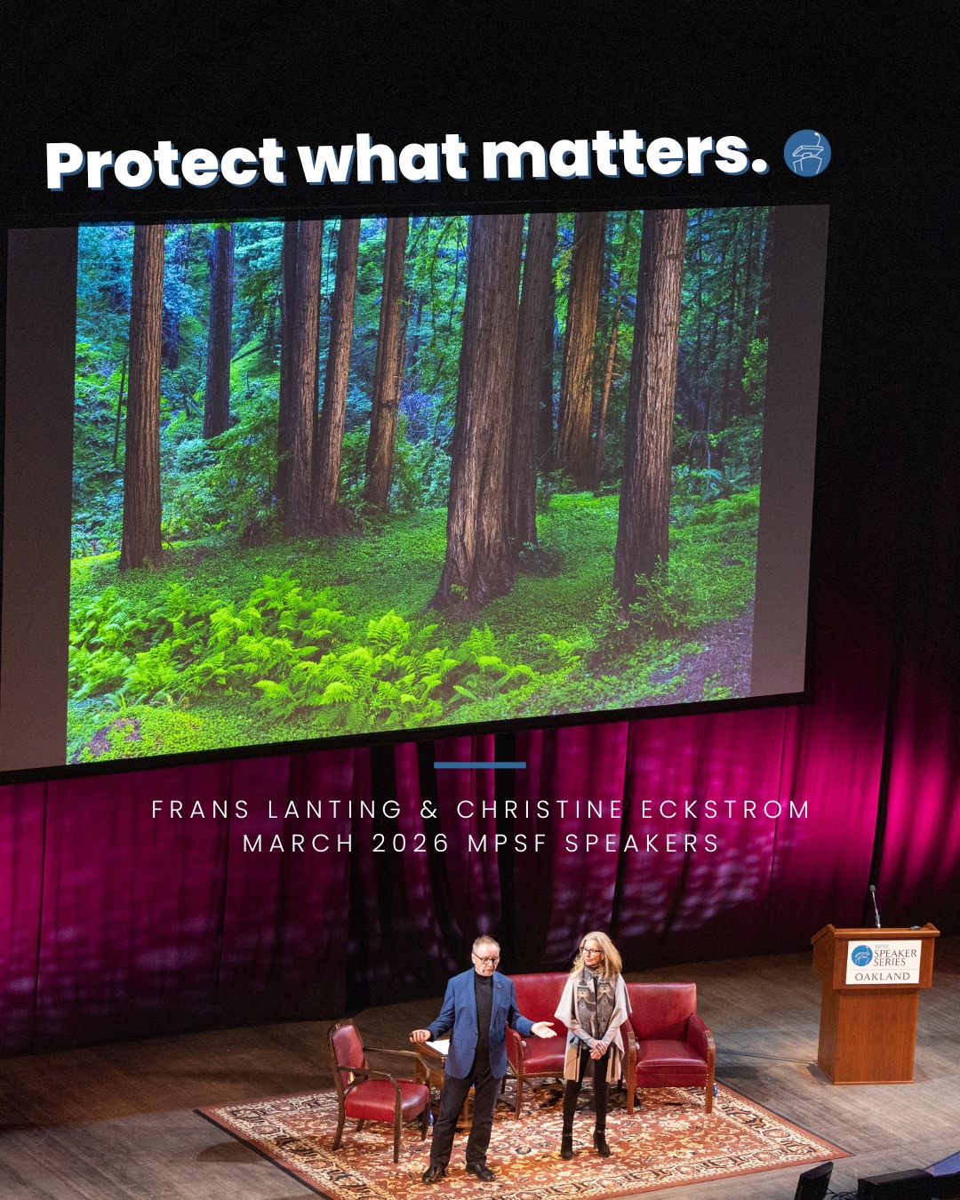 Christine Eckstrom said it best, “Next time you stand in awe in front of a redwood tree in the forest or watch great whales surface offshore, remember that they are here today because of people joining forces together to protect them.”
The moments that take our breath away—the towering redwoods, the whales offshore—don’t exist by accident.
They exist because people chose to protect them.