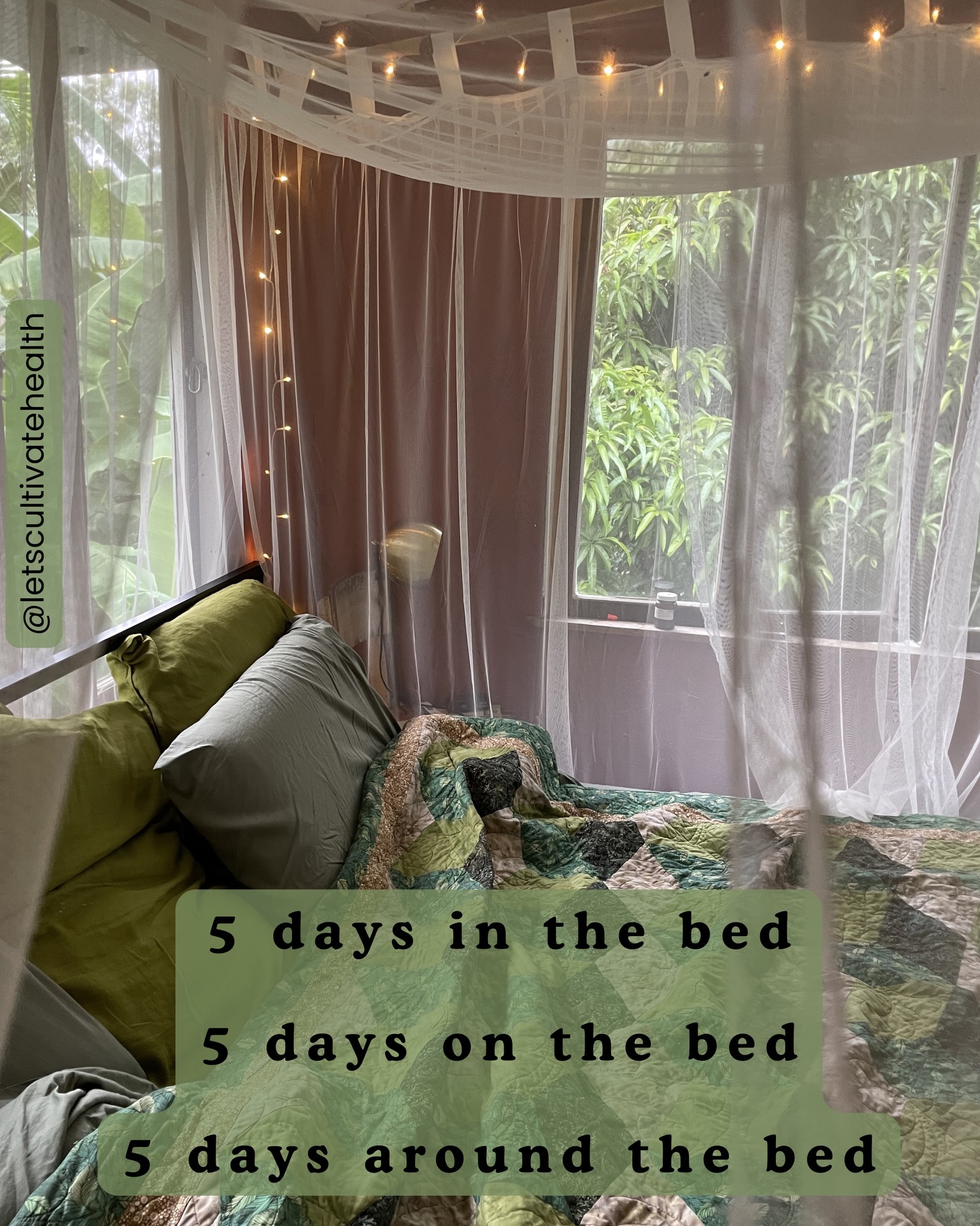 Perhaps you’ve heard of this little adage. I’m sure when I first came across it a few years ago I read - one week in the bed, one week on the bed, one week around the bed. Either way, I guess 5 days feels more achievable in the modern world.
.
The pressure on post partum women in our western culture feels legitimately insane. Up and out in the world within a few weeks, coffee shops and beach visits with new Bub. Bouncing back into dieting and movement regimes - aiming to ‘get the body back’.
It’s a slippery old path and as my body grows, expands and changes more, I do find myself daydreaming and planning the post partum movement regime, without the literal weight of sharing my body. I remind myself: it can all wait. There is no rush. Be excited for the endless days spent in bed, being with self, babe, my man and the three of us as a family for the first time, these beautiful trees outside the bedroom window and the mammoth transformation of motherhood that awaits.
I’ve not experienced postpartum yet and I’m sure there are women who feel great soon after birth, still I love these old traditional ways of honouring the fourth trimester - the first 3 months post partum. In many cultures this includes ‘sitting the month’ or a strong focus on the first 40 days post birth. There is a saying in Chinese medicine that the first 40 days is setting up the woman and baby for the next 40 years of life. After childbirth, spending due time to focus on rebuilding health and vitality can help protect a woman’s health for the following decades.
CONTINUED IN COMMENTS