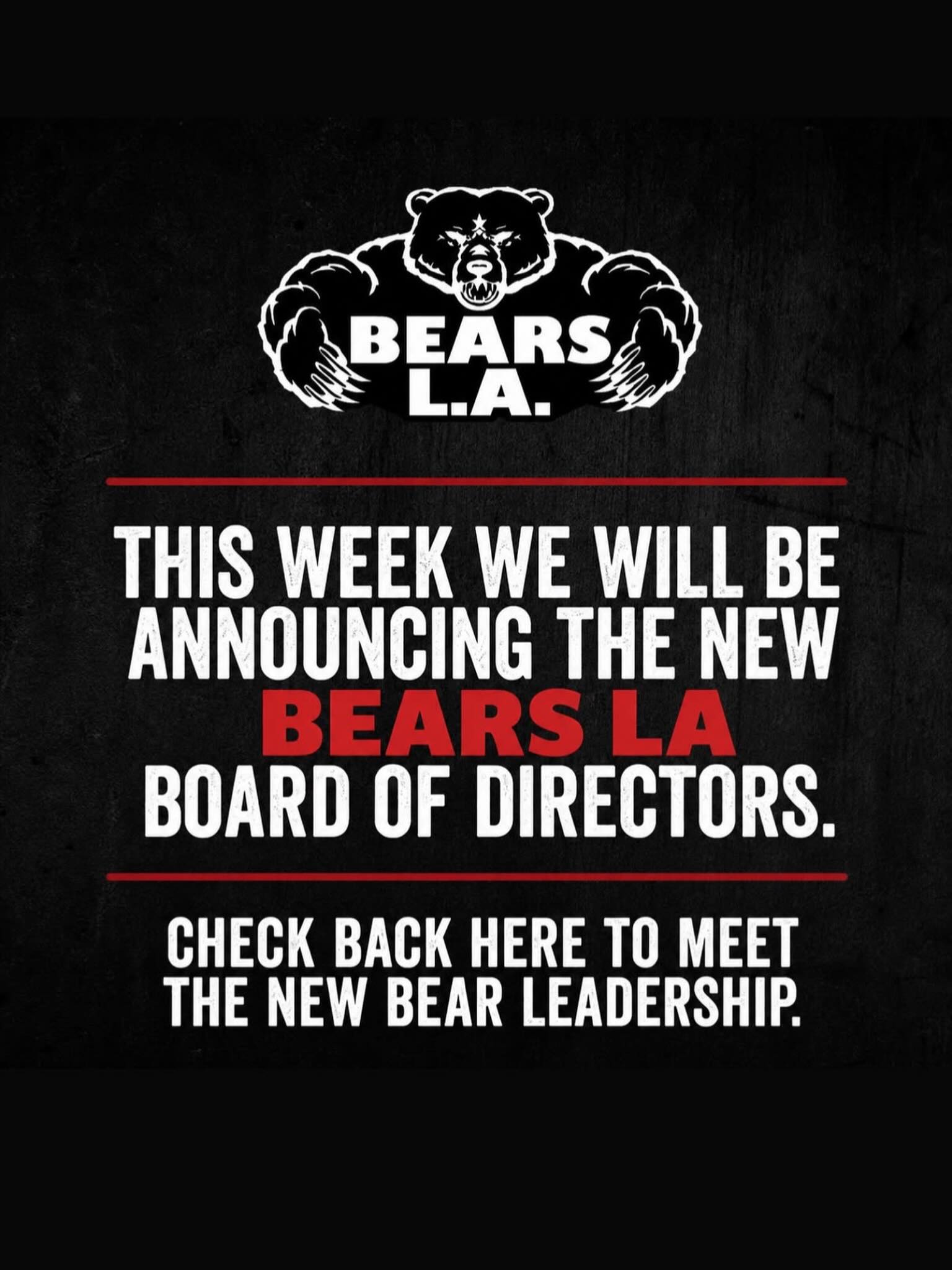 It’s happening! 🐻
Over the next week, we’re gonna start introducing the new Bears LA Board of Directors 👀
A bunch of really good humans stepping up to help shape what’s next for this community we all love. Not just titles… people who care, who show up, who want to build something that actually feels like home.
Get ready to meet the crew. It’s a new chapter ❤️