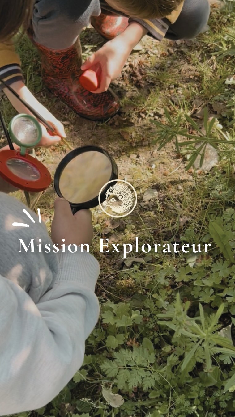 🦔 Mission Explorateur · Expédition Petites Bêtes
Ton enfant adore les petites bêtes mais ne il sait pas où les chercher ?
Le hérisson, lui, sait. Chaque nuit il renifle, fouille, retourne chaque feuille, inspecte chaque recoin. Il ne laisse rien au hasard.
J’ai créé un jeu pour donner aux enfants les mêmes réflexes. Et une note de mission pour partir sur le terrain comme un vrai explorateur.
Tout est gratuit. Lien en bio 👇
#naturepourenfants #petitesbêtes #missionexplorateur #activiténature #uneautreconnexion
