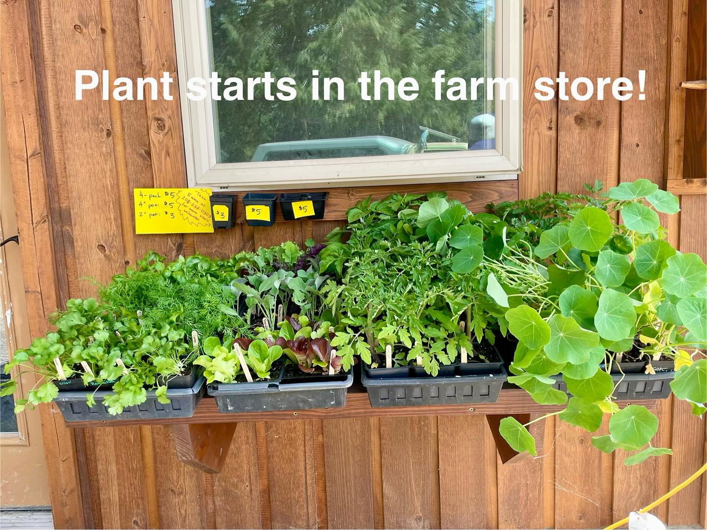 We now have plant starts in the farm store! Come out to Clark Fork and get the plants you need to kick off the gardening season. Message me if you are looking for a broader selection or want to buy a lot of starts.