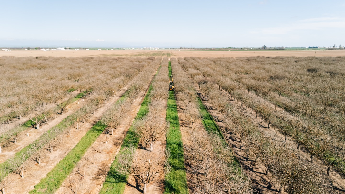 Acres to cover and we’re getting after it. If your orchard needs shaping, now’s the time.🌳
Give us a call.
📞North Valley: (209) 564-8207
📞Central Valley: (559) 363-3315
📞South Valley: (559) 201-3189
#orchardmanagement #orchard #orchardcare #treebarber #agservices