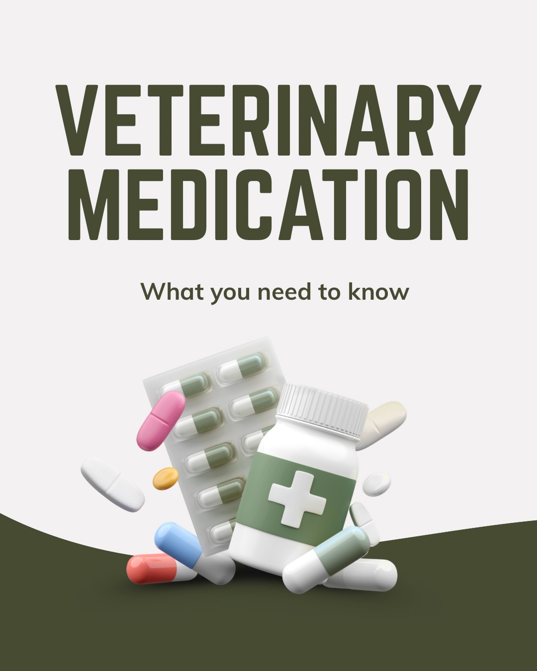 Veterinary Medication - the most common questions and answers 💊🩺