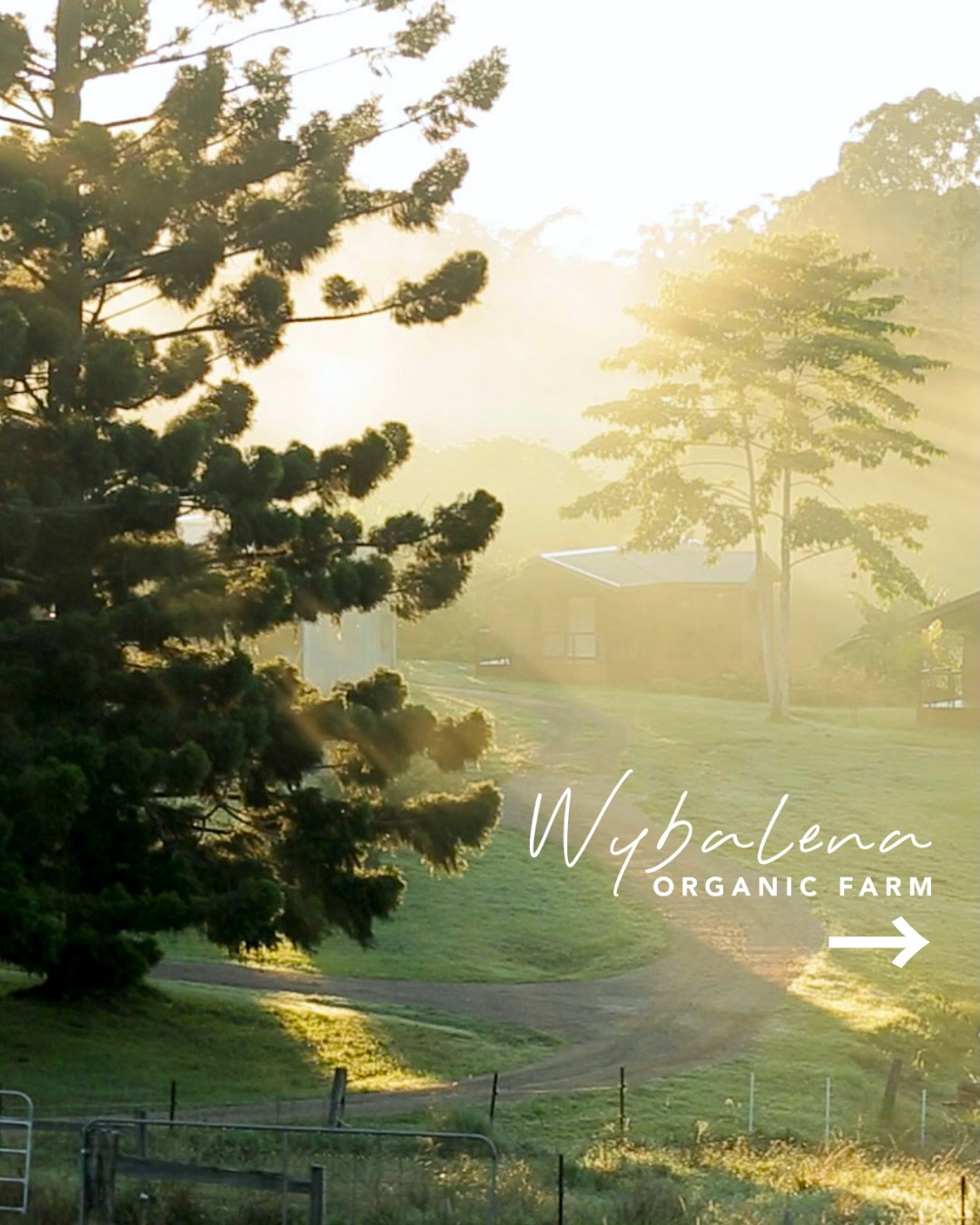 Welcome to Wybalena Organic Farm 🌿
To learn more about hosting a retreat at our venue, please visit our website www.wybalenaorganicfarm.com.au