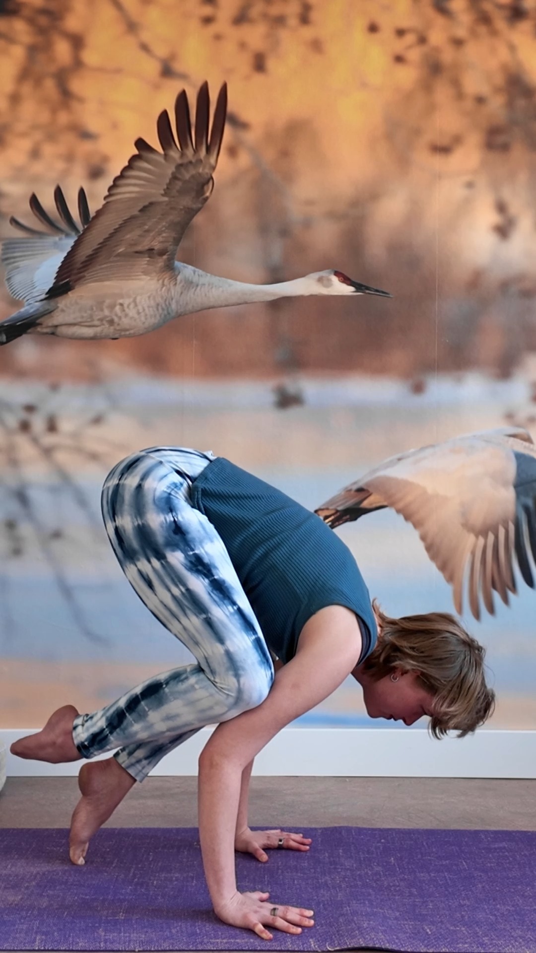 Working up to an arm balance might take some practice, these are the steps that will help you get there.
#bridgeoflifestudio #bridgeoflife #crowpose #kakasana #yoga #yogaposture #armbalance