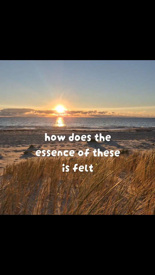 When you allow yourslef to take the essence of elements in nature and the environment in, and feel how this lands in your body...
The gentle swaying of grasses in the wind, the glimmer of light on the water, organic formations on the sand...
This placement of awareness could invite in a felt sense of soothing, of warmth, of groundedness or elevation. The essence of nature can be felt in the body, What felt sense is emerging for you?
Expand. Thrive. 🪷✨️
Elijah Forest Therapy
📍 3i8 George Street, East Fremantle
# elijahforest #somatichealing #bodywork
