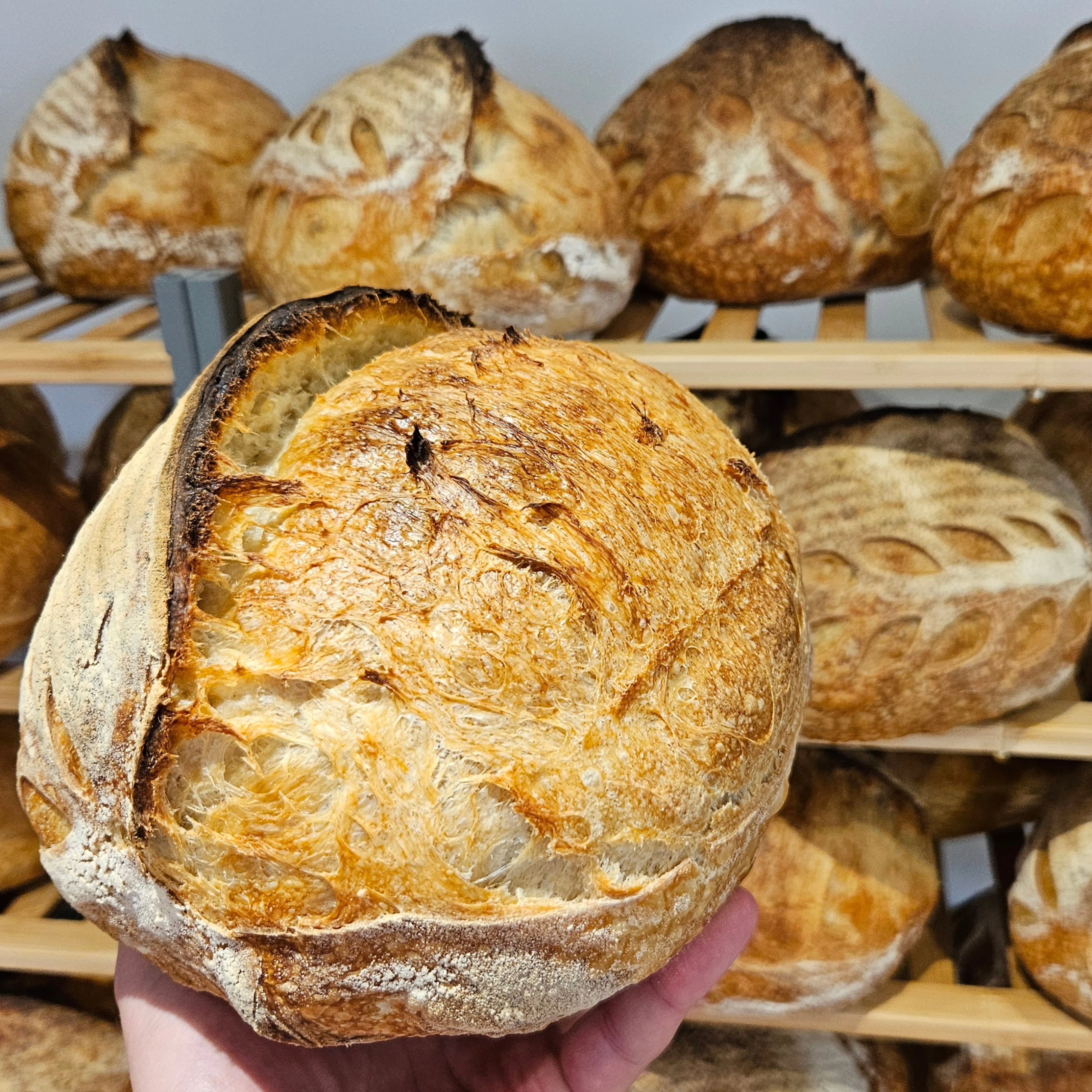 Late Wednesday night, I got a call.
Even though I’ve stepped back from baking commercially… I said yes.
Because sometimes you just know it matters.
Behind every small business there are long nights, tough decisions, and a lot of unseen effort.
These loaves are going to someone I genuinely respect.
Bronze medal winners from Britain’s Best Loaf, I hope they bring something special to your table.
Small businesses - let’s keep supporting each other! ❤️🙏
#BakedByTheVarga #ArtisanBread #smallbusiness #sticktogether