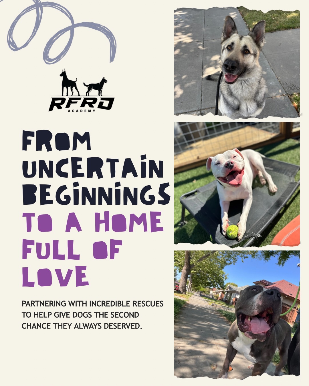 🐾 150+ dogs. 150+ homes. 150+ lives forever changed.
Over the past few years, we’ve had the honor of partnering with incredible rescue organizations, helping over 150 dogs find the loving homes they deserve. This isn’t just a number; it represents:
- The dog who waited months in a shelter for their forever family.
- The family who finally found their perfect match.
- The dedicated rescue teams who poured their hearts into every placement.
Every dog has a unique story filled with love and hope, and we strive to ensure their stories have happy endings. With the trust and support of our rescue partners, we’ve been making a real difference.
🌟 About RFRD Academy’s Rescue Ready Program
Our Rescue Ready Program enhances support for our partners by offering vital services like boarding, training, and adoption event support. This helps ensure dogs receive the time needed without the pressure of deadlines during their transition from shelters to loving homes.
None of this would be possible without our amazing RFRD community. Your support has been crucial in our success, enabling us to uplift our rescue partners and their dogs. Thank you for being the heart of our mission! ❤️
To every rescuer here: thank you for your late nights, home checks, and unwavering commitment. You are the backbone of this mission, and we are grateful for you.
🐾 Adopt My Block
🐾 Adopt my pet SJ
🐾 BAMM Rescue
🐾 California Bully Rescue
🐾 CalPaws Rescue
🐾 Chester Corner Rescue
🐾 Dog Park Rescue
🐾 Every Pets Dream
🐾 Girls Who Love Dogs Rescue
🐾 Packlyfe Rescue
🐾 SJACC
🐾 Top Of The Hill Rescue
🐾 West Coast Cane Corso Rescue
🐾 Wkodit
Here’s to 150+ more happy tails! 🐶✨