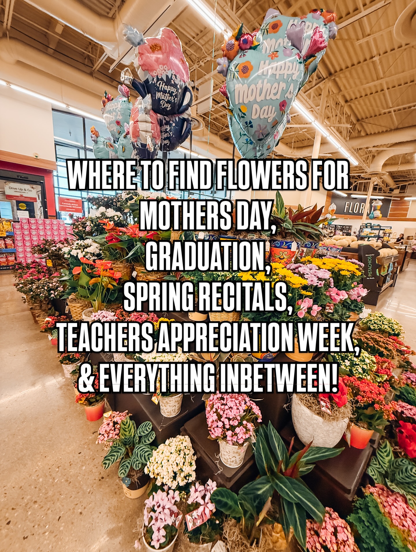 For all your special springtime occasions: graduations, recitals, Mother’s Day, appreciation weeks…Downtown Castle Rock has you covered with a few places to find beautiful floral arrangements! 🌼
For all your celebrations, shop our beautiful downtown district 🌹
#downtowncastlerock #crco #castlerockcolorado