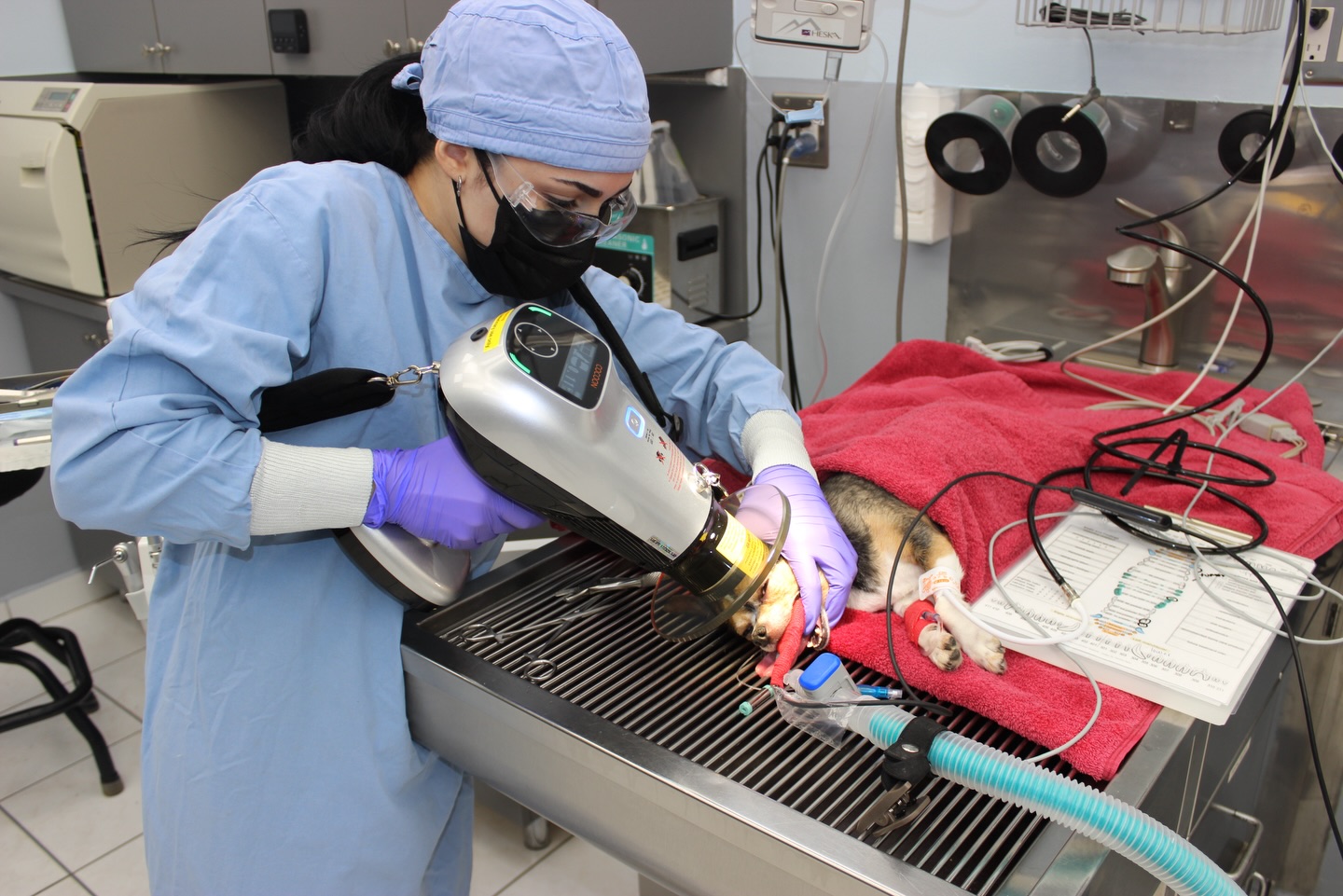 👩⚕️🐾 Compassion. Skill. Dedication. 🐾👨⚕️
At Palmetto Animal Clinic, our veterinary team goes above and beyond to provide the highest level of care for every patient 💙
From advanced procedures to gentle monitoring, every detail matters — because your pets deserve nothing but the best 🐶🐱
We’re proud of the hands and hearts behind the care ✨
📍 Palmetto Animal Clinic
💙 Treating your pets like family, always
#PalmettoAnimalClinic #VetStaff #VeterinaryCare #PetSurgery #VetLife AnimalCare CompassionateCare PetHealth BehindTheScenes HealingHands