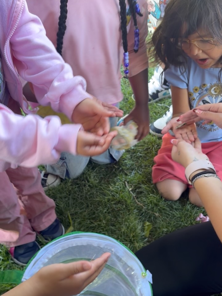 Spring is here! 🌸 Adelanto elementary students release the butterflies they’ve been taking care of 🦋🦋
@adelantoesd
#Butterflies
#ActionYouthAmerica #AfterSchoolProgram #VictorValleyUnionHighSchoolDistrict #AdelantoElementarySchoolDistrict