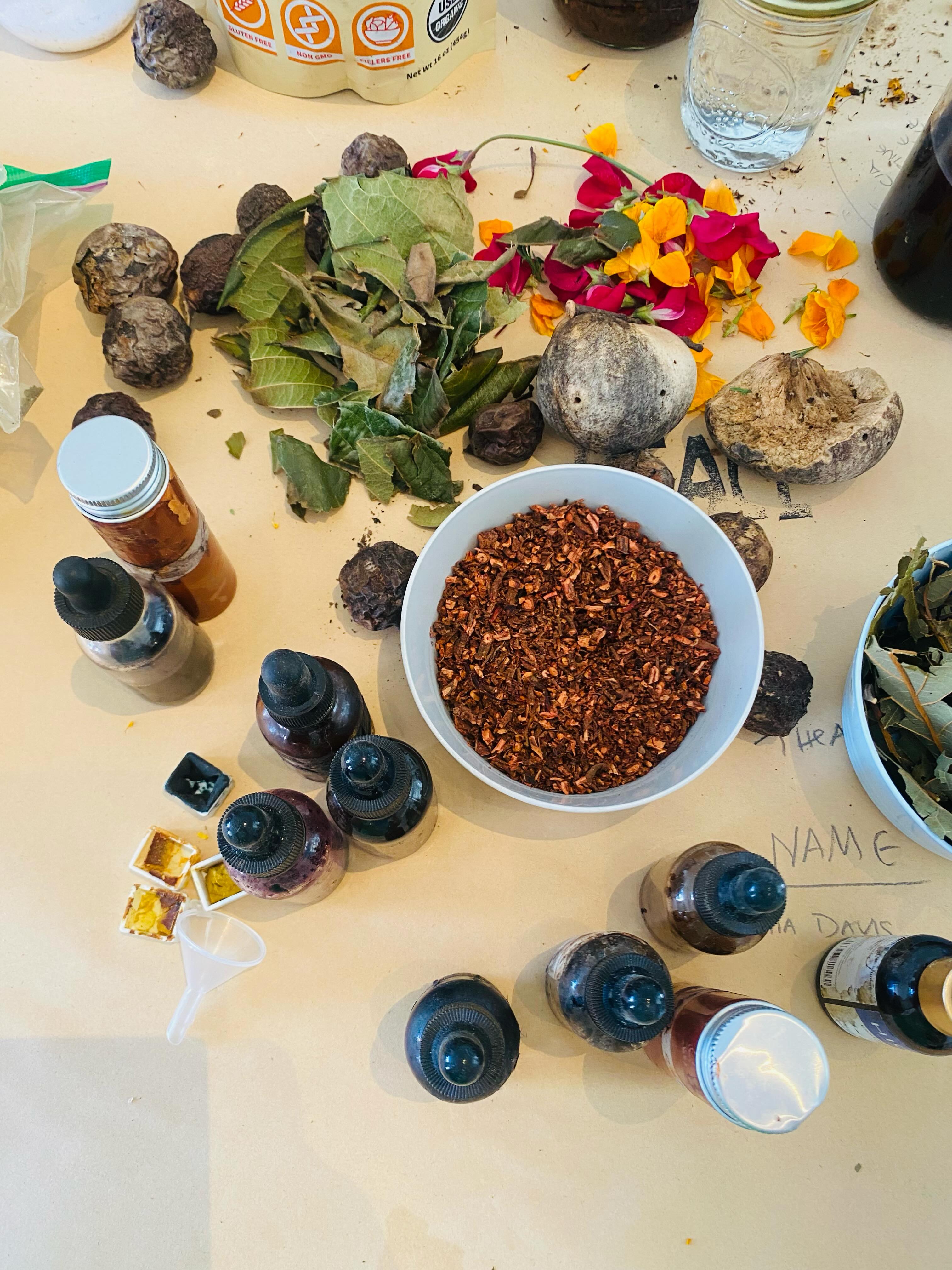 learn to make botanical inks to use for drawing or painting. create pigments from plants and flowers and take home some beautiful colors that you have made.
MAY 16th Saturday 11:00-2:00
@sarahmh____