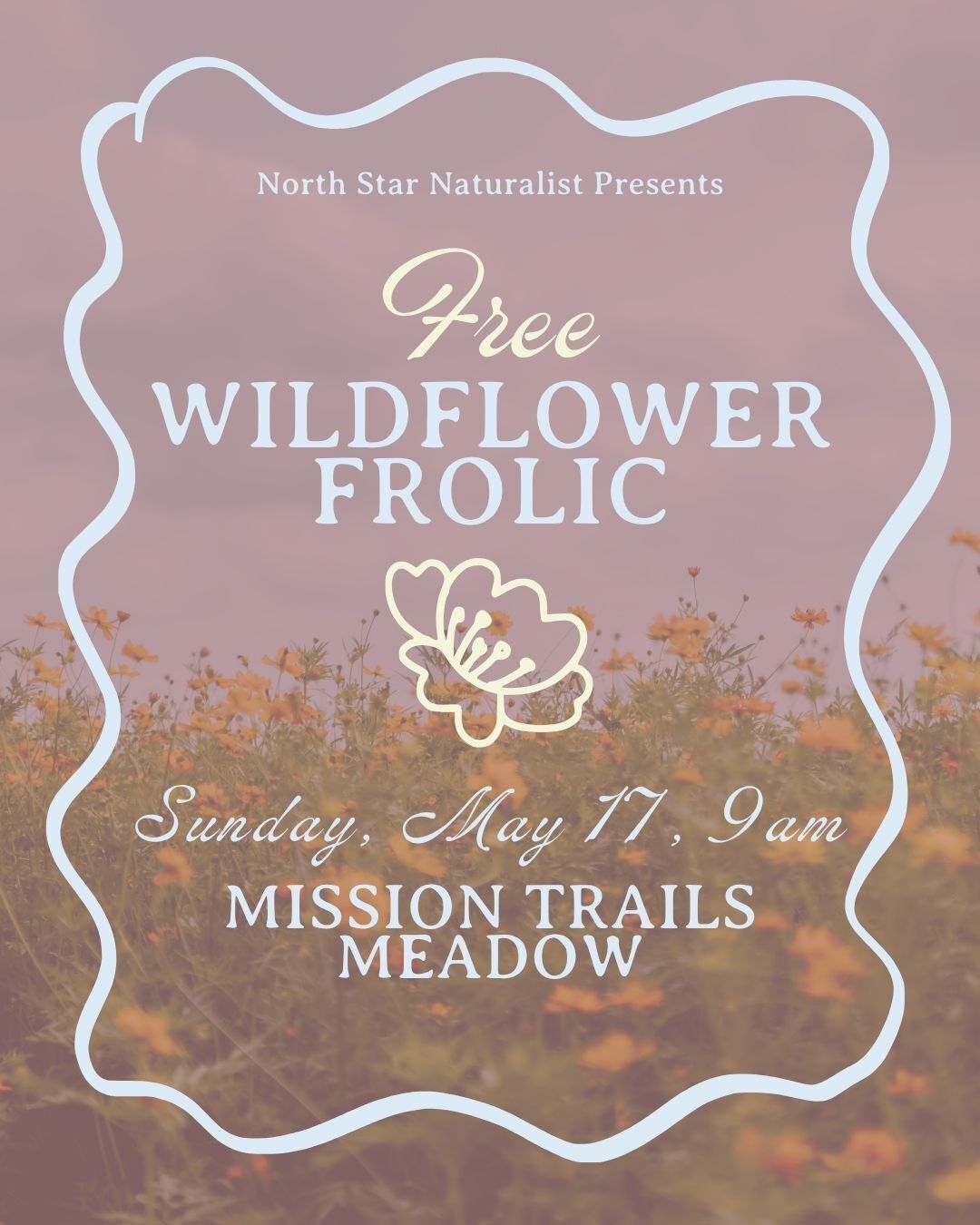 Does your life need more frolicking in flowery meadows? 🌸
Does the workweek have you craving cute native bees sleeping inside blossoms? 🐝
Is your daily commute causing daydreams about gleefully skipping to the music of wind in the trees and birds on the wing? 🍃
... Have I got news for you. 😃
I, myself, have had a very busy spring, and I'm ready to return to my senses with a slow, easy walk amongst the wildflowers. So come join me! Bring a friend, bring your mom, and bask in the beauty of San Diego's incredible floral bouquet.
Sunday, May 17, 9-11am at Mission Trails Regional Park
This is a free event, but registration is required. (link in bio!)
#NorthStarNaturalist #SanDiegoWildflowers #SanDiegoEvents #SoCalNature #CaliforniaWildflowers #SanDiegoFreeEvents